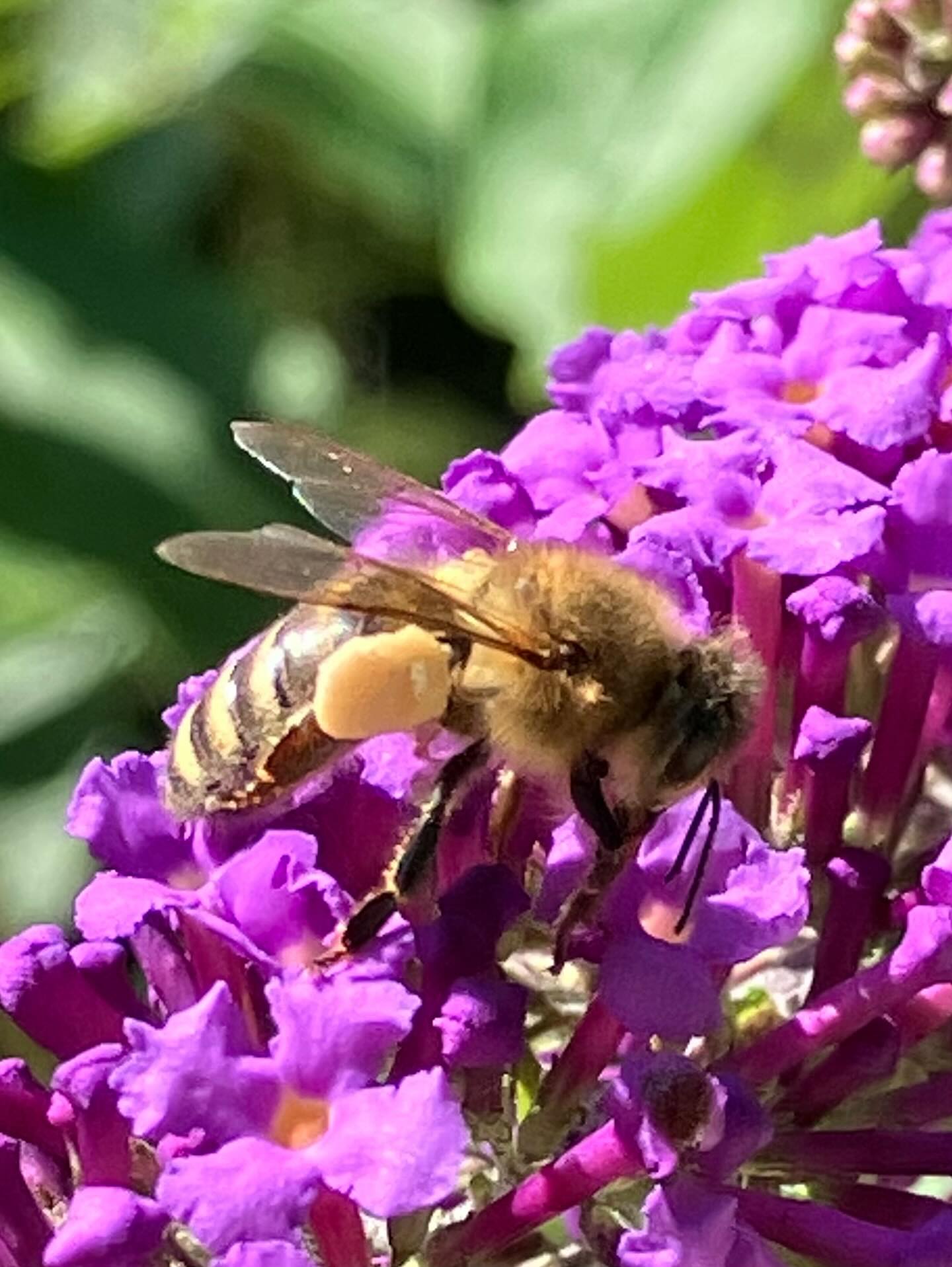 Dag 124 - 18300153271247913.jpg