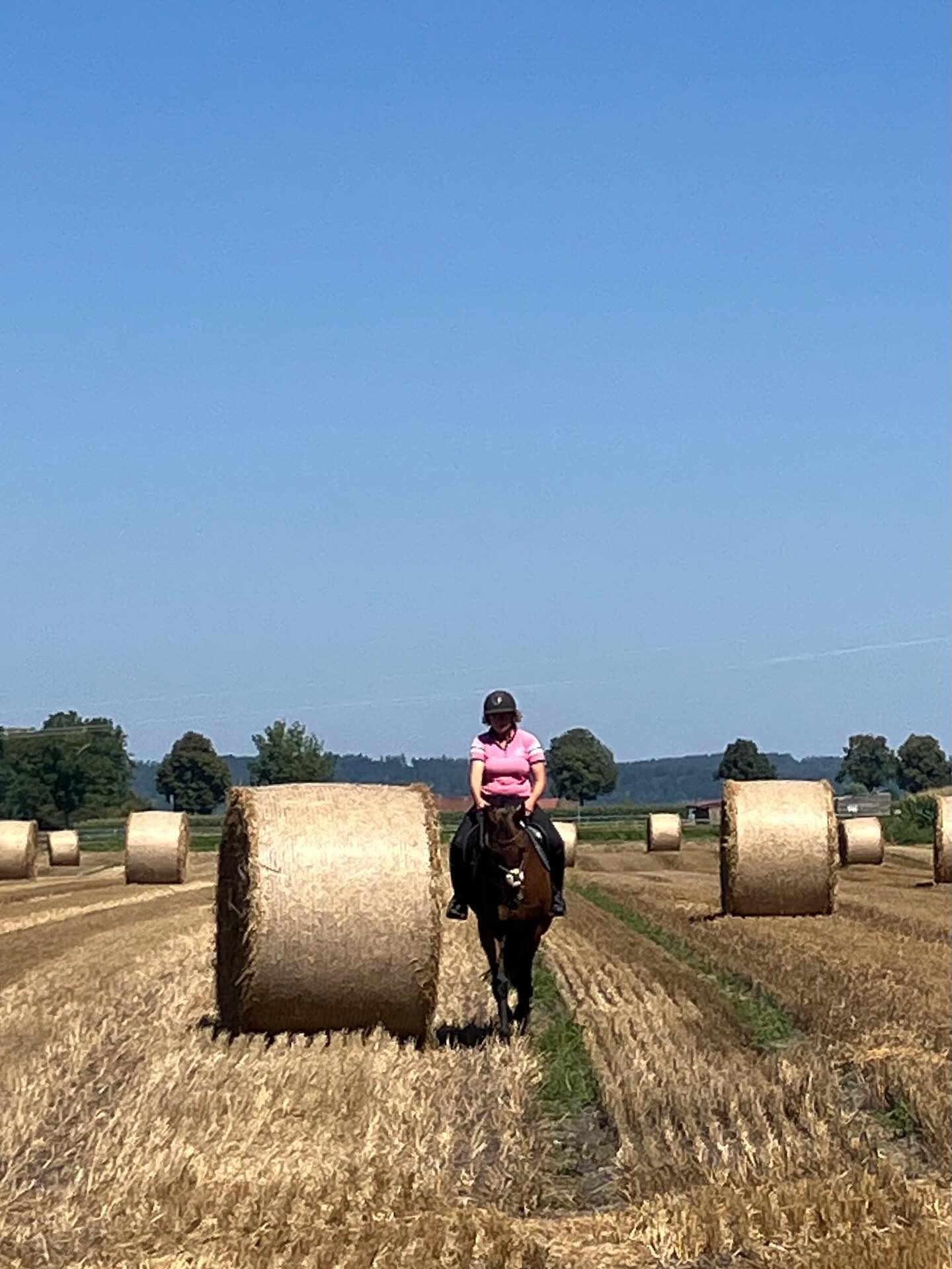 Dag 125 - 17877720903273082.jpg