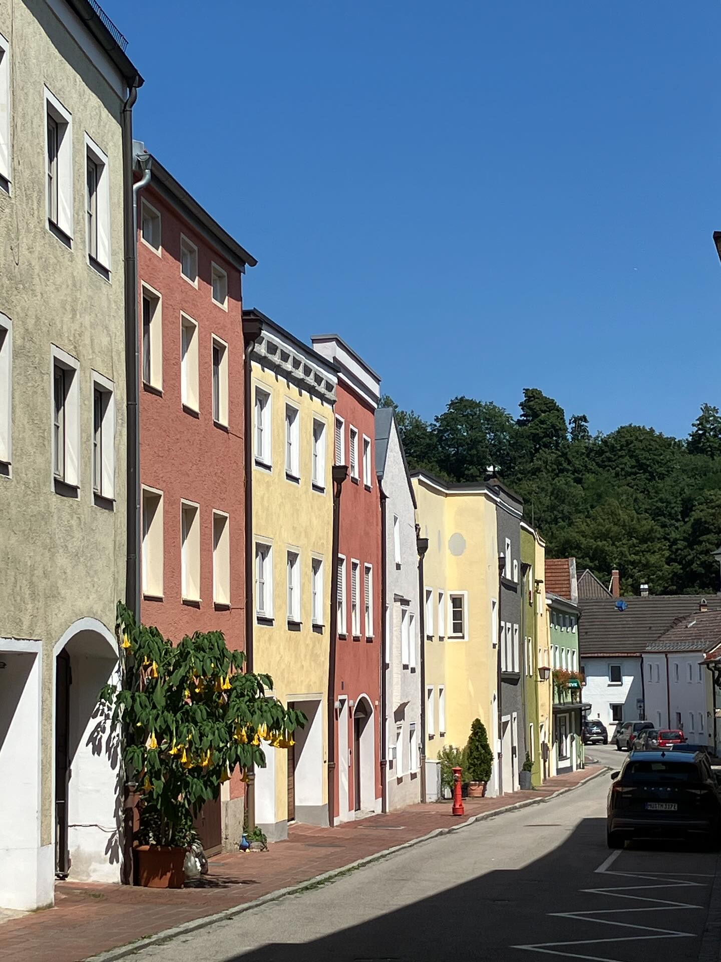 Dag 125 - 17997742958658304.jpg