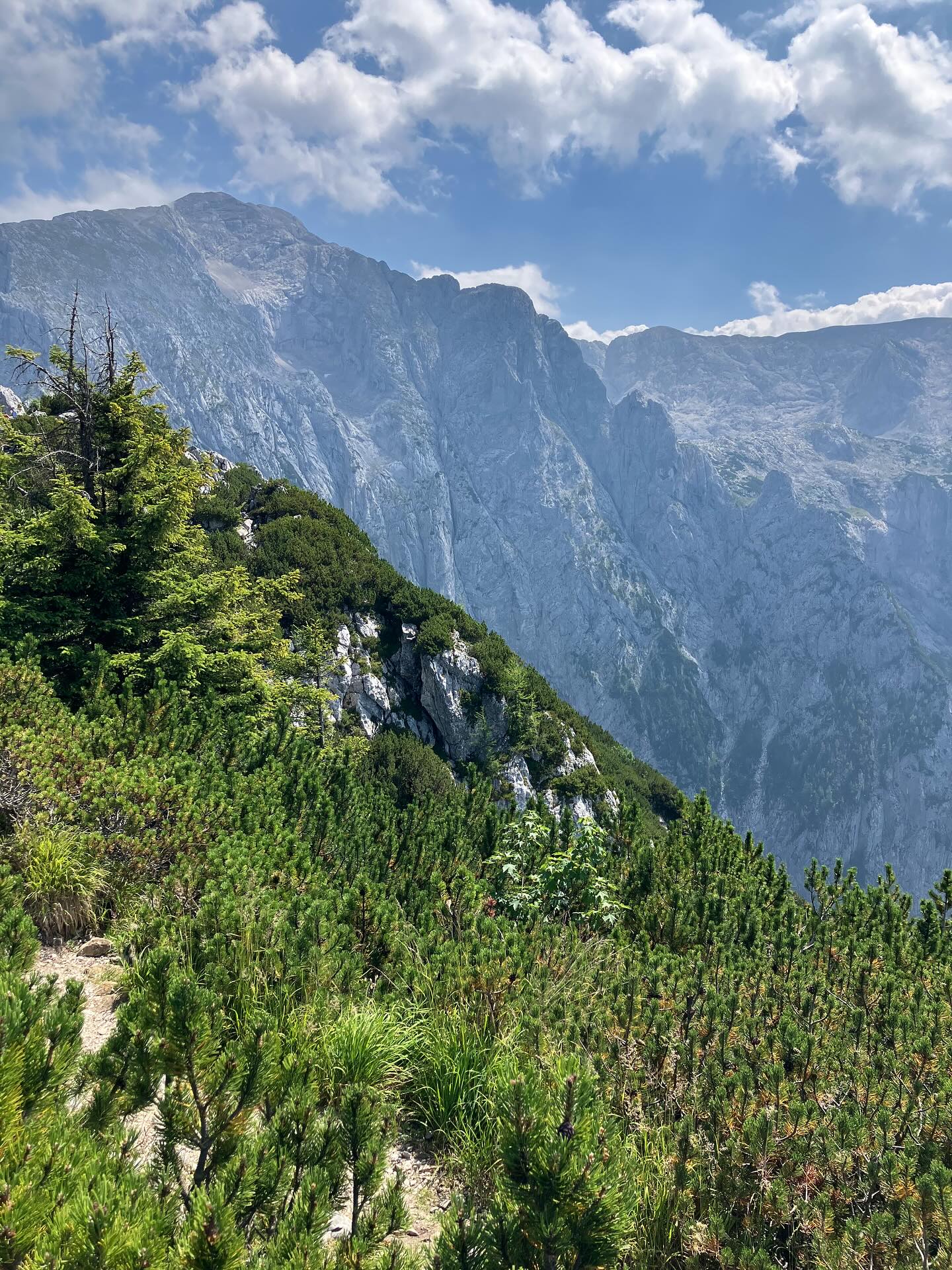 Dag 125 - 18093665422714075.jpg