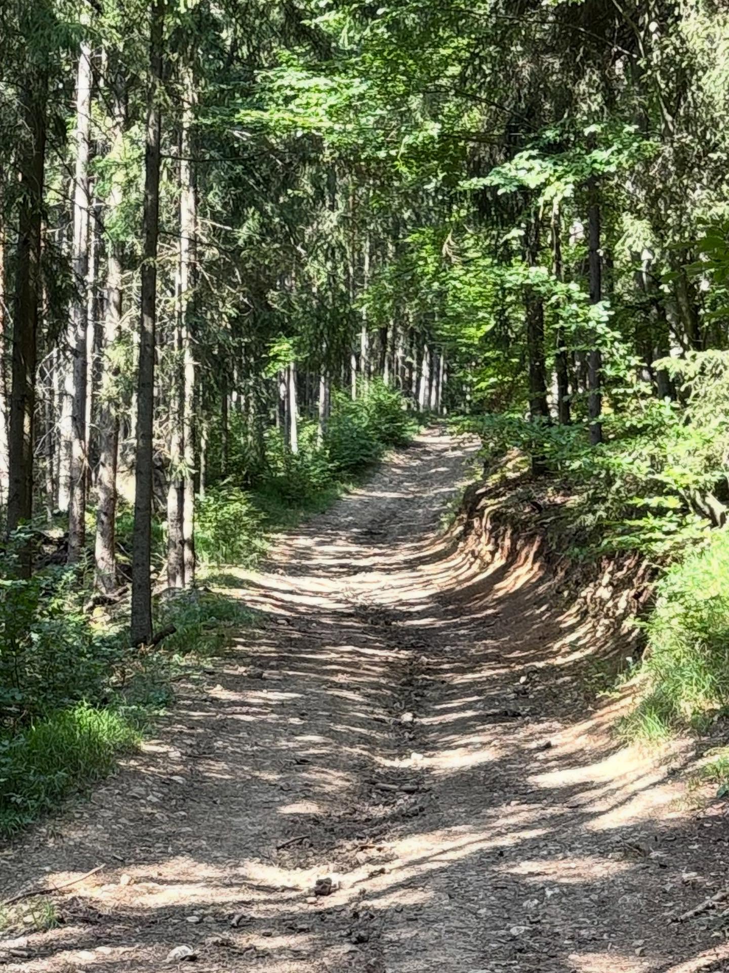 Dag 126 - 18025799081513105.jpg