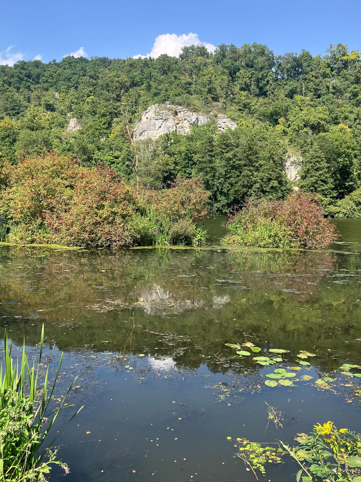 Dag 126 - 18058058153108328.jpg