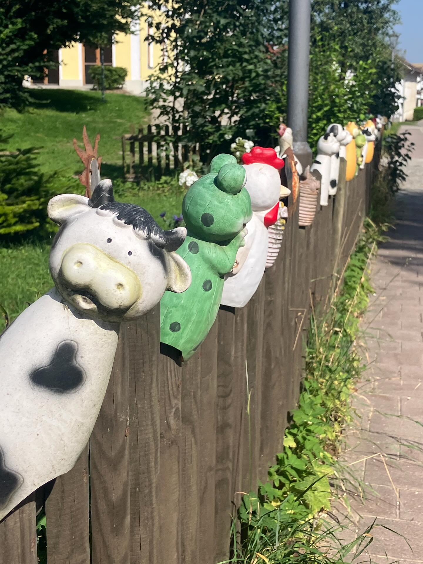 Dag 126 - 18135031174442636.jpg