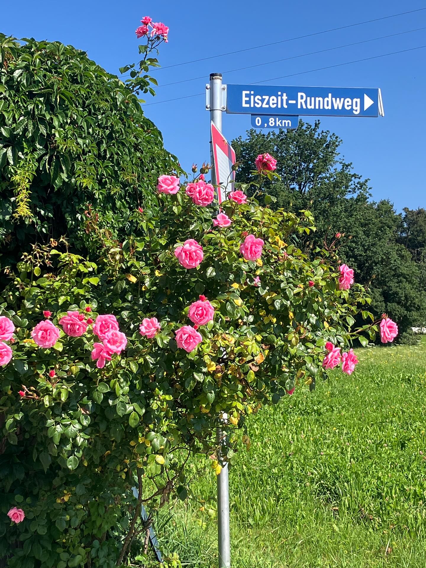 Dag 127 - 18014248055769199.jpg