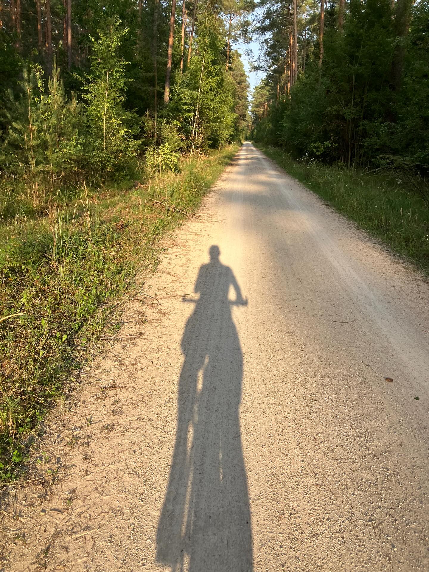 Dag 129 - 18021319994772941.jpg