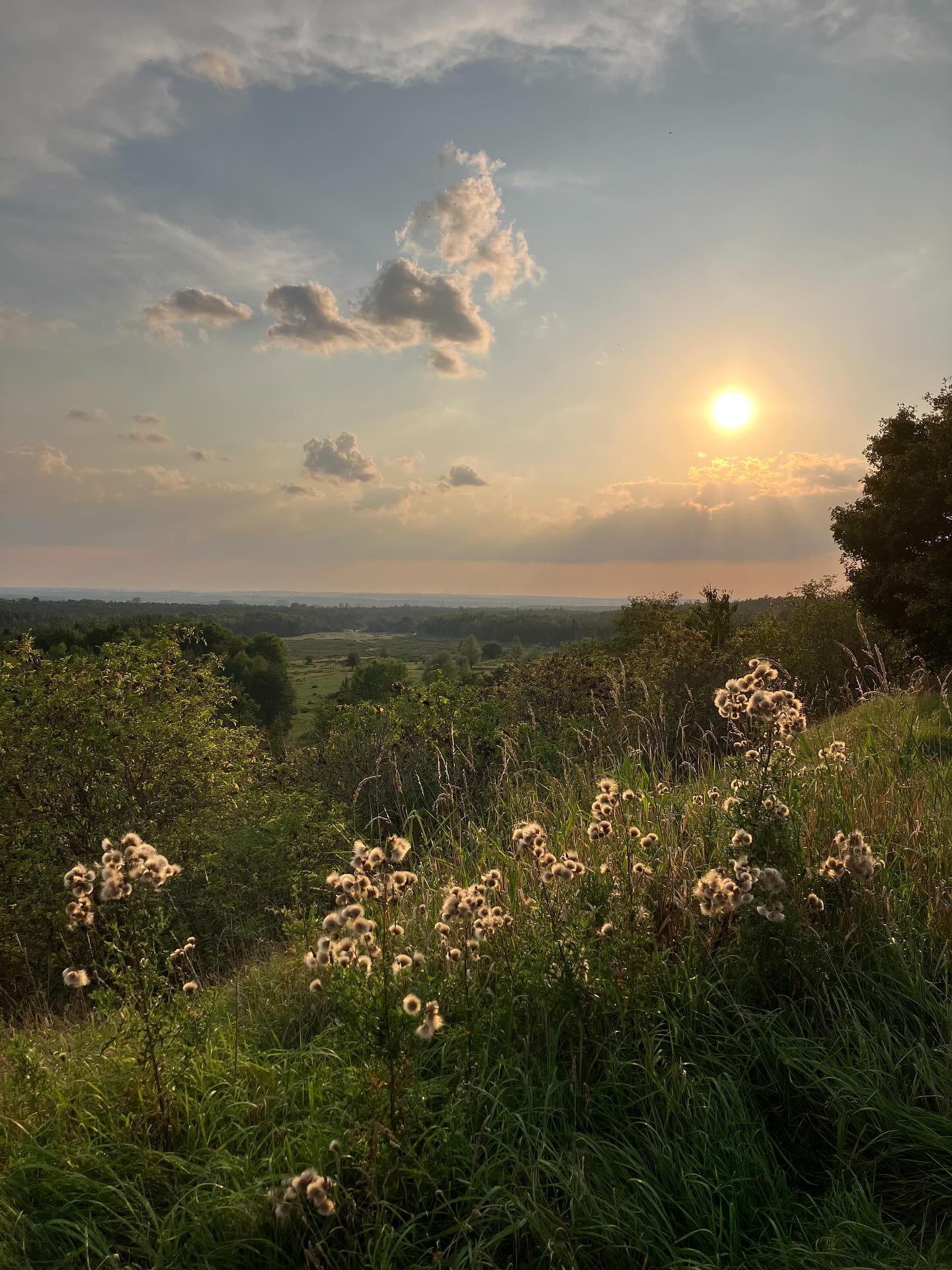 Dag 129 - 18058107665374182.jpg