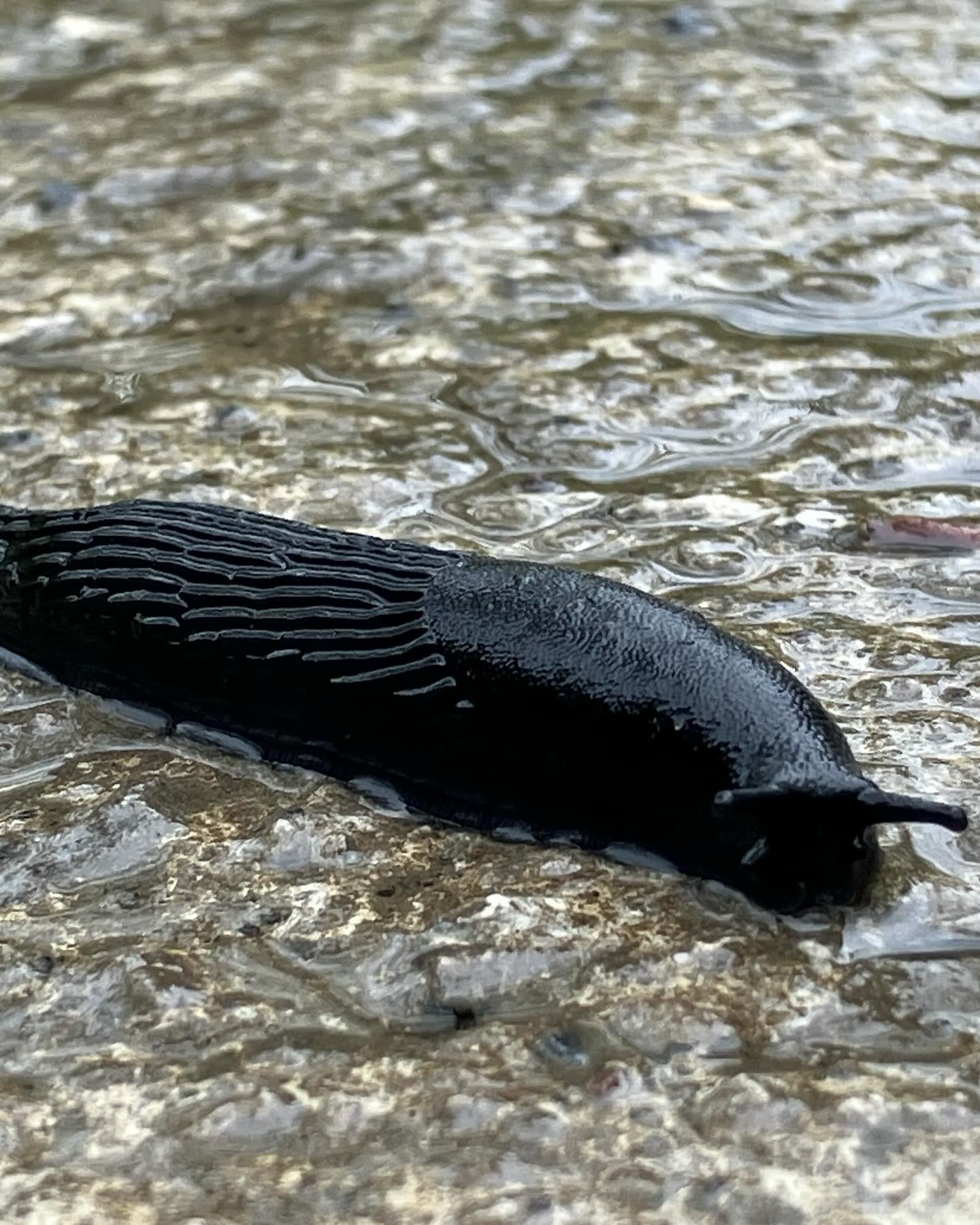 Dag 13 - 18498840664056100.jpg