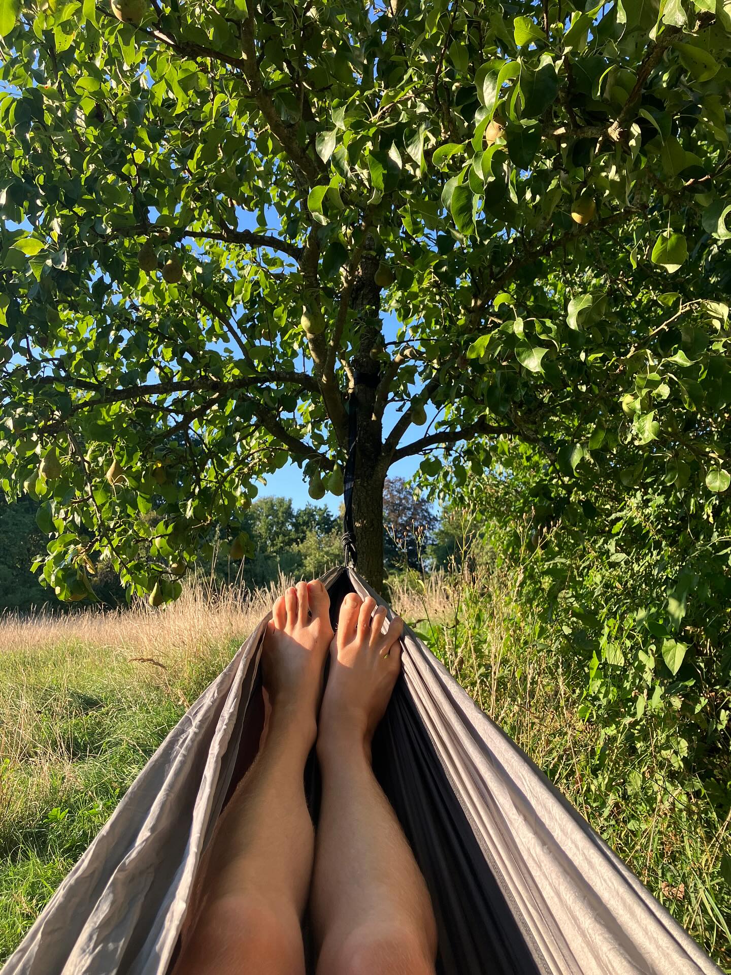 Dag 132 - 18019991435743330.jpg