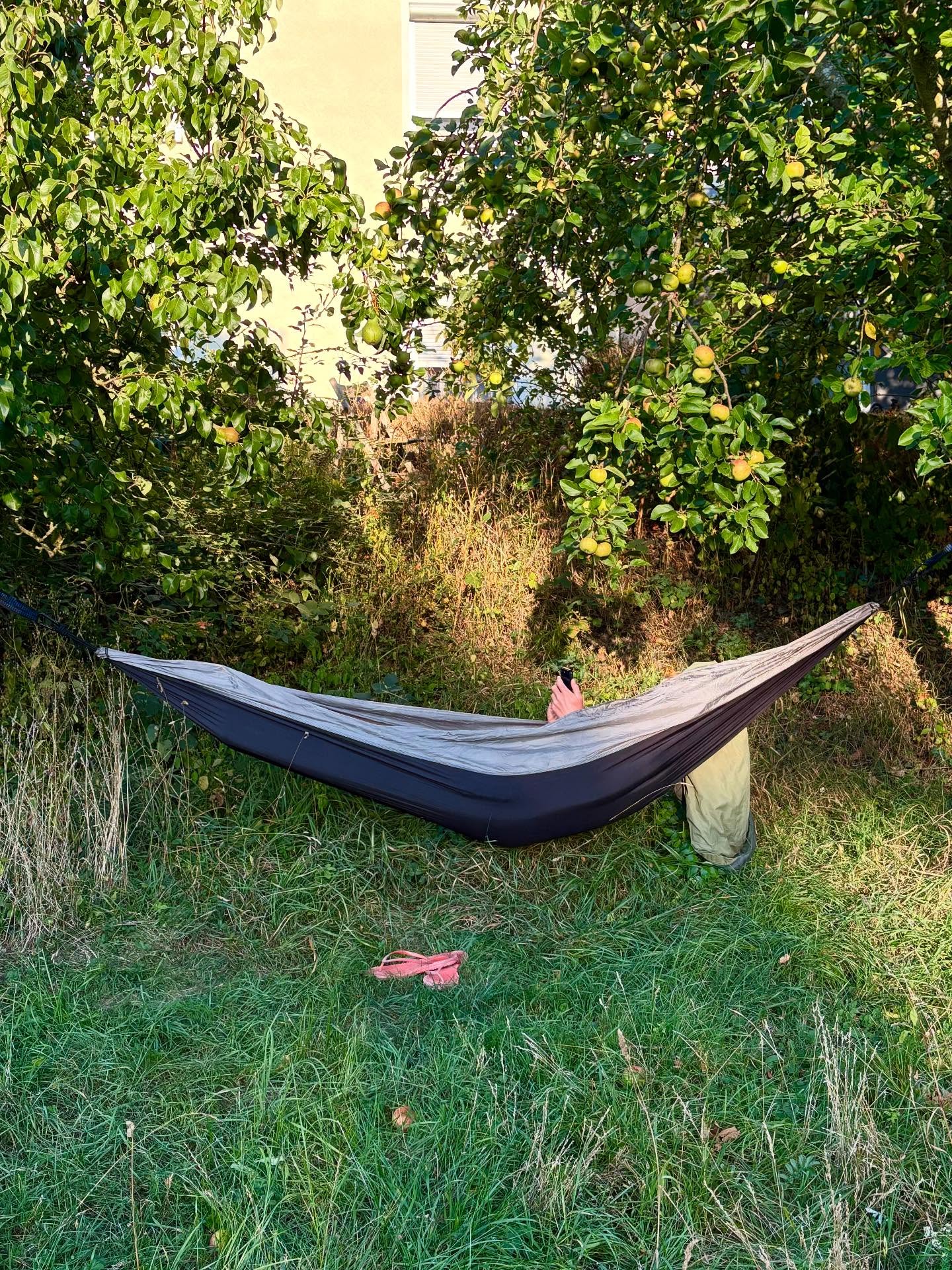 Dag 132 - 18082615366721451.jpg