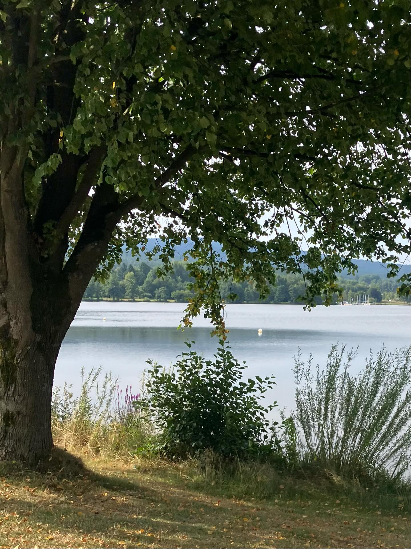 Dag 134 - 17917252713036650.jpg