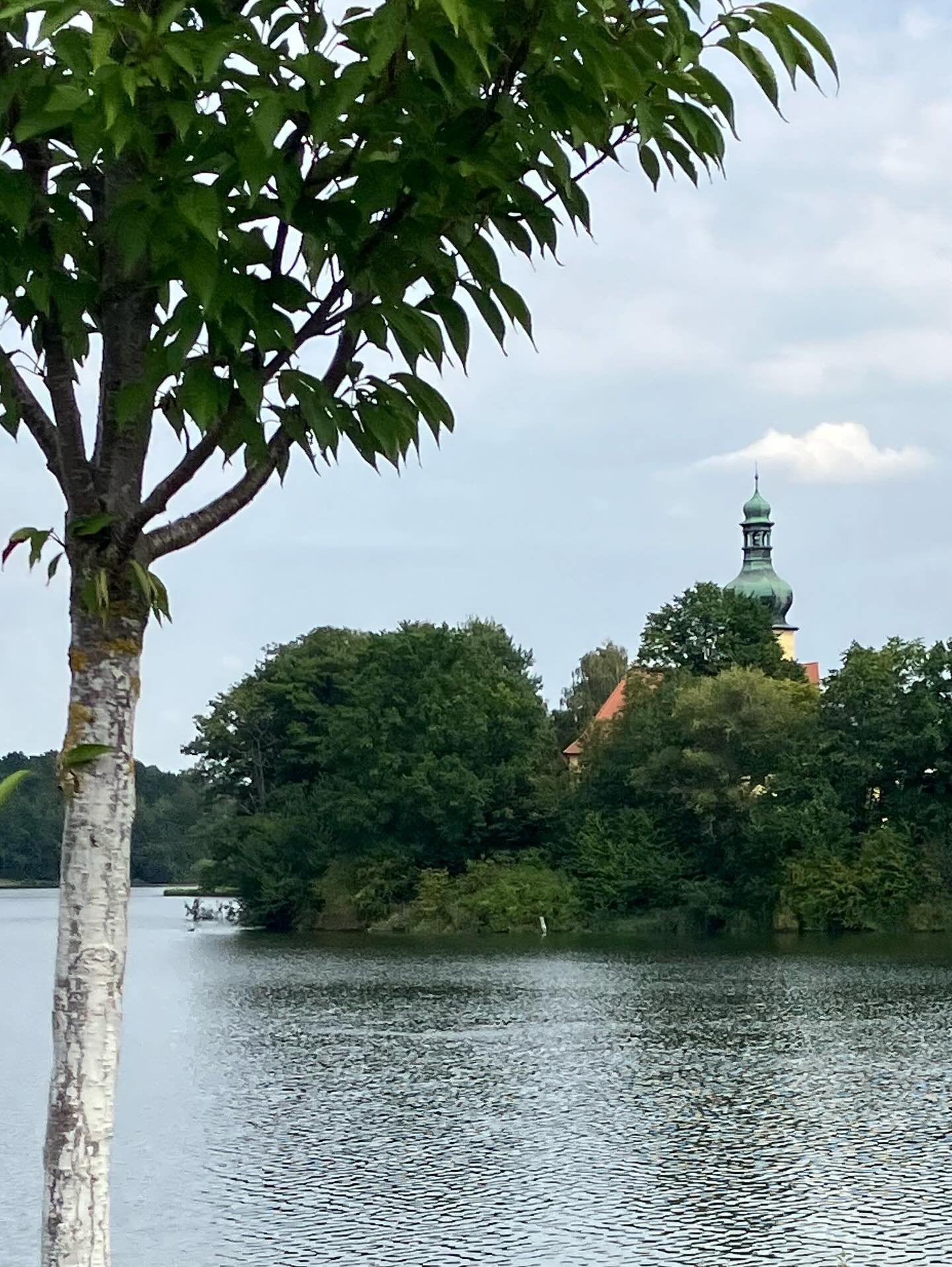 Dag 134 - 18405862042117156.jpg