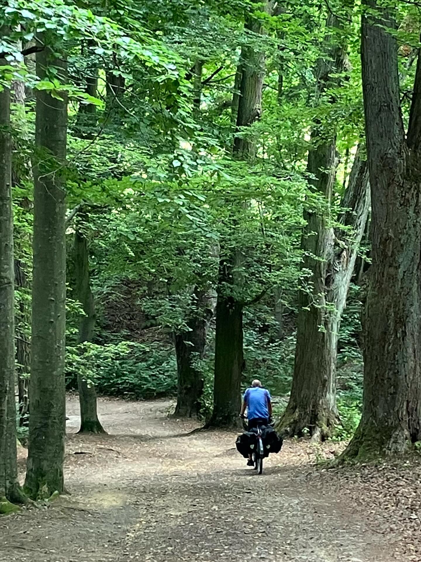 Dag 134 - 18520024549041353.jpg