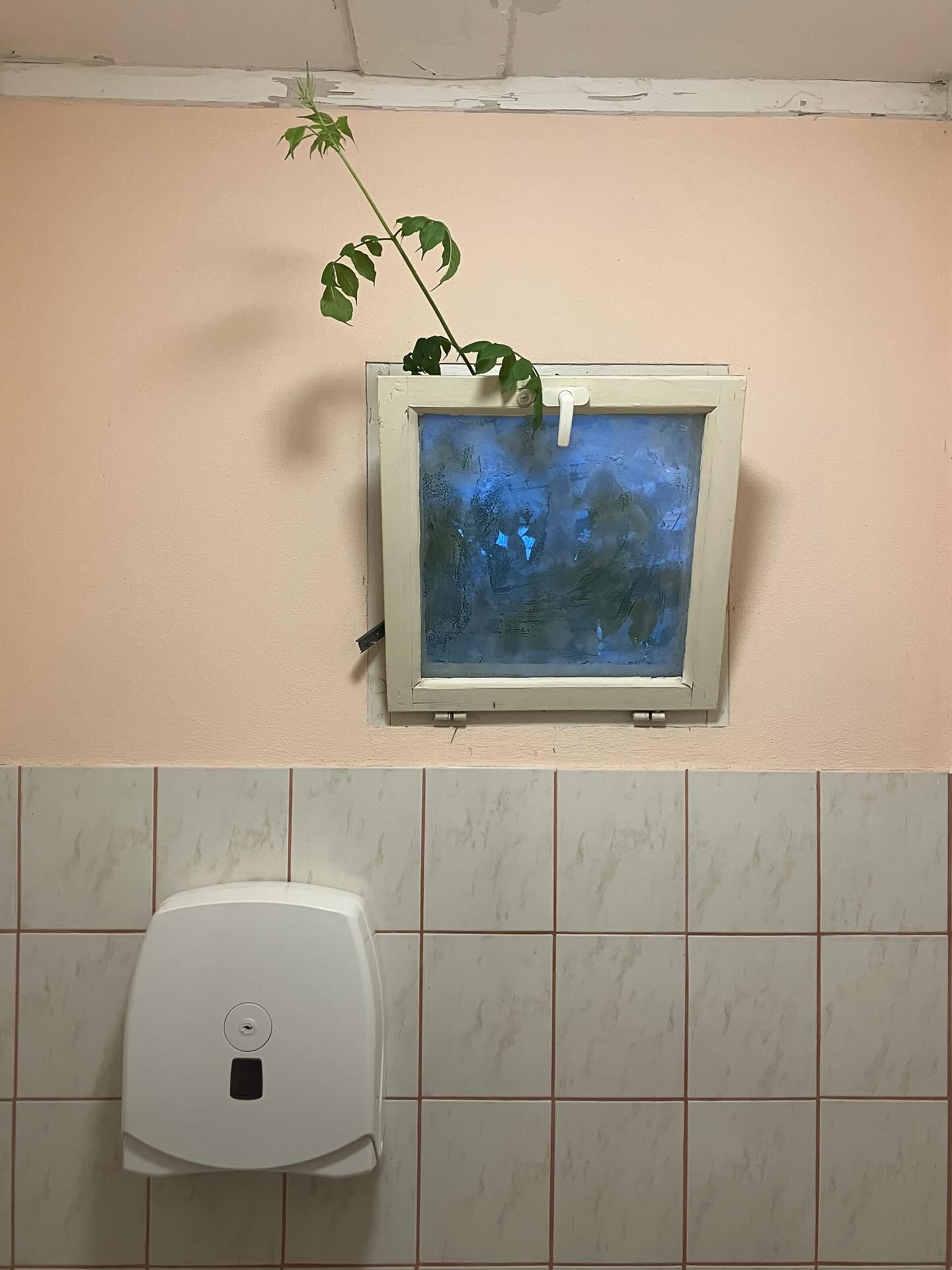 Dag 135 - 17886003780224604.jpg