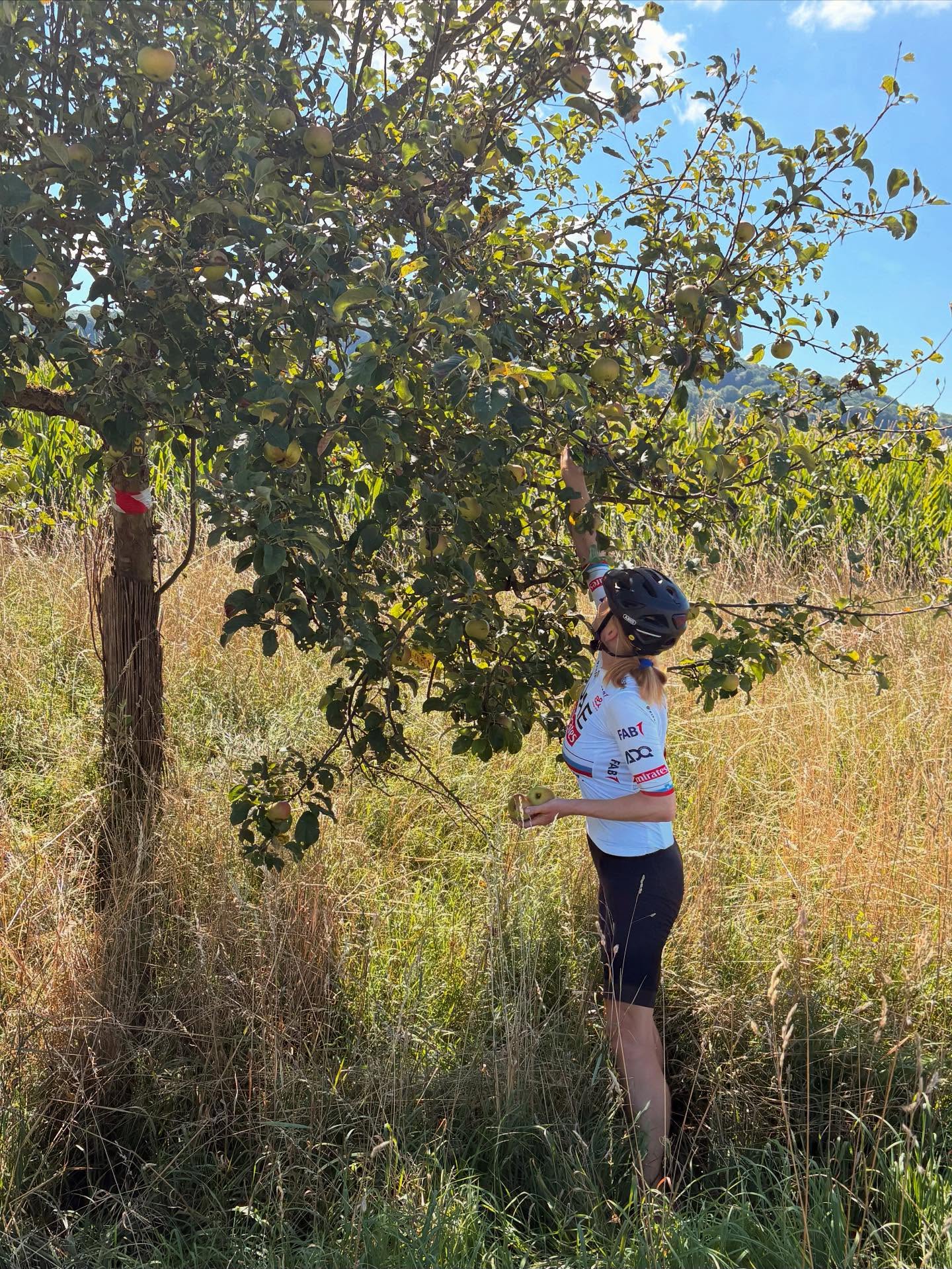 Dag 135 - 18015534281775410.jpg