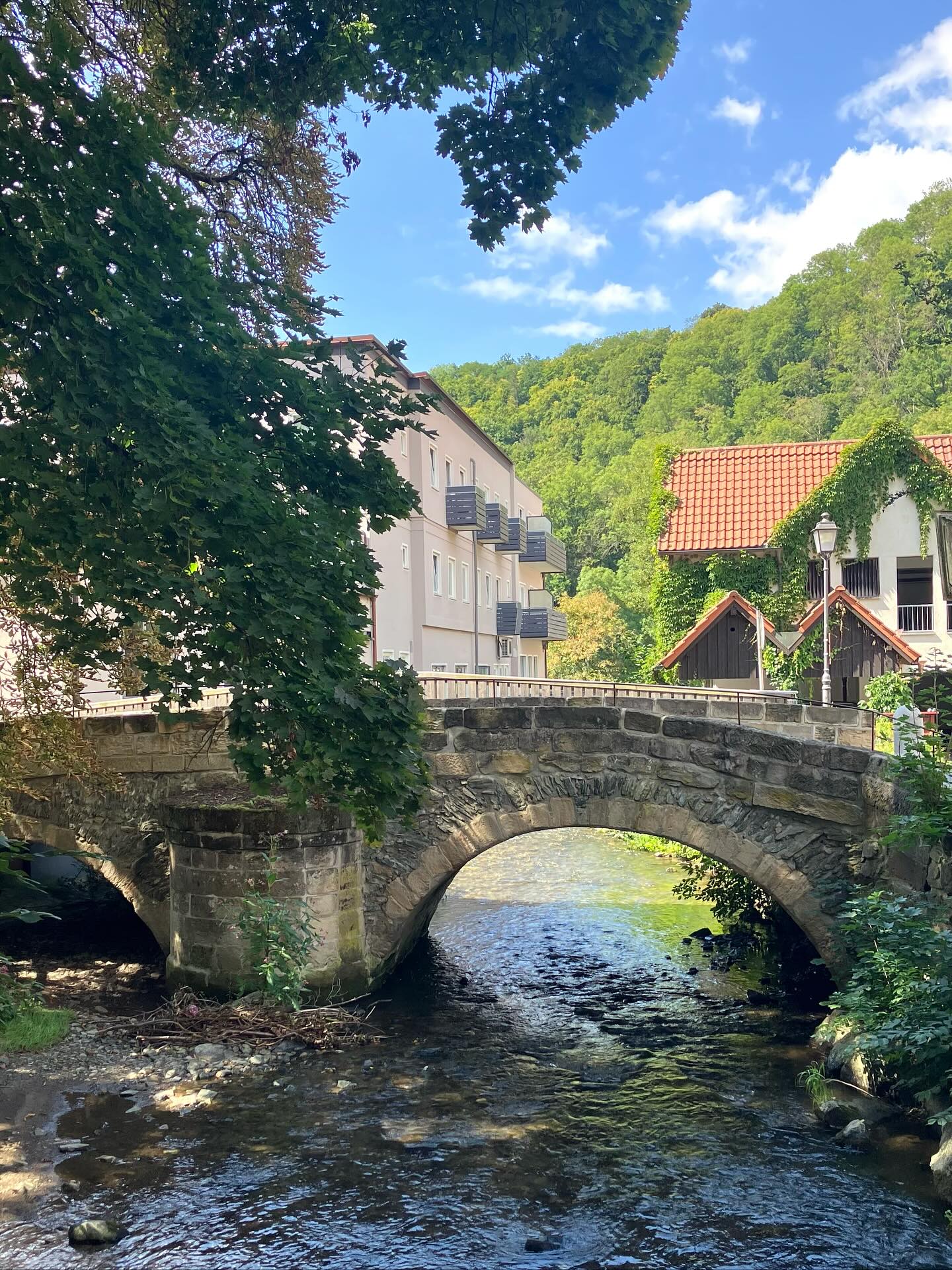 Dag 135 - 18024459500711412.jpg