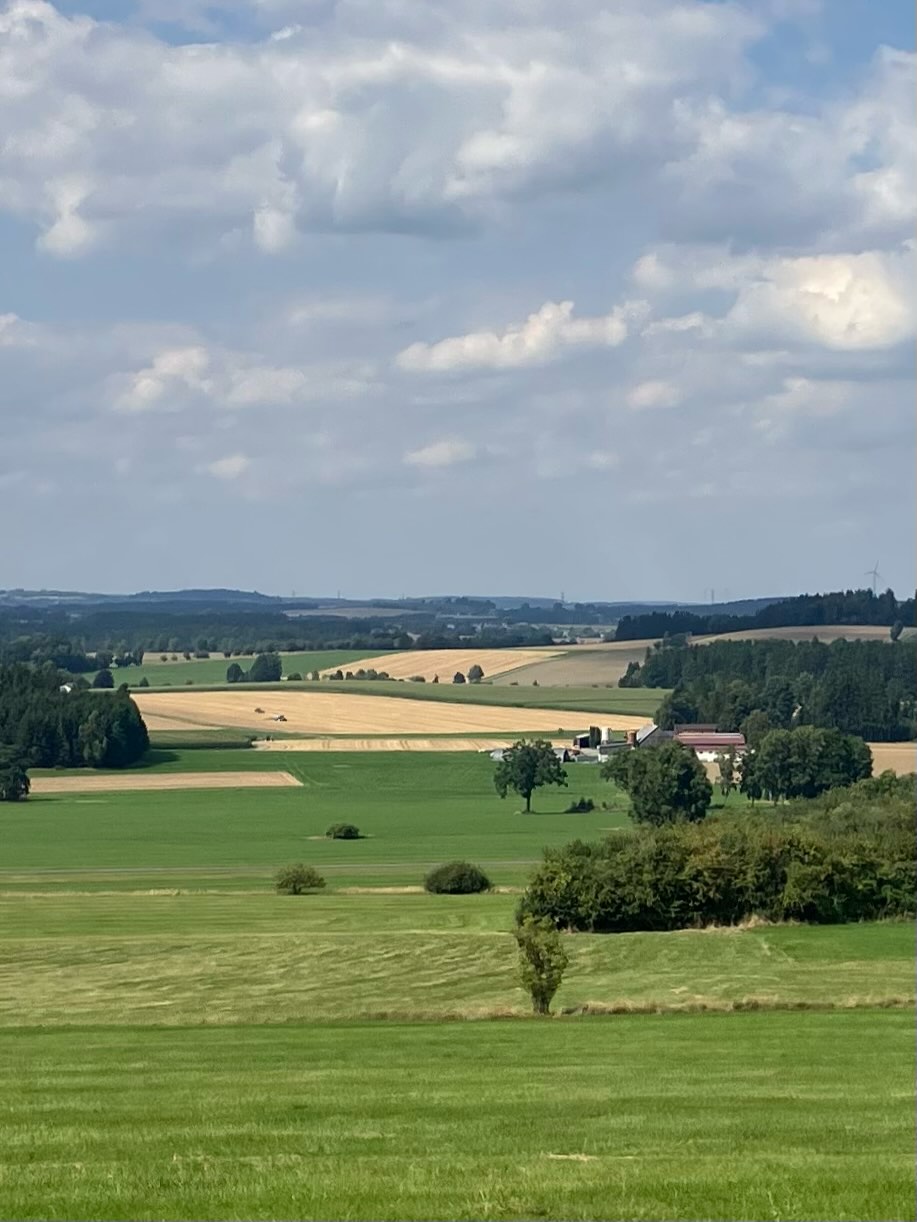 Dag 135 - 18372727849182778.jpg