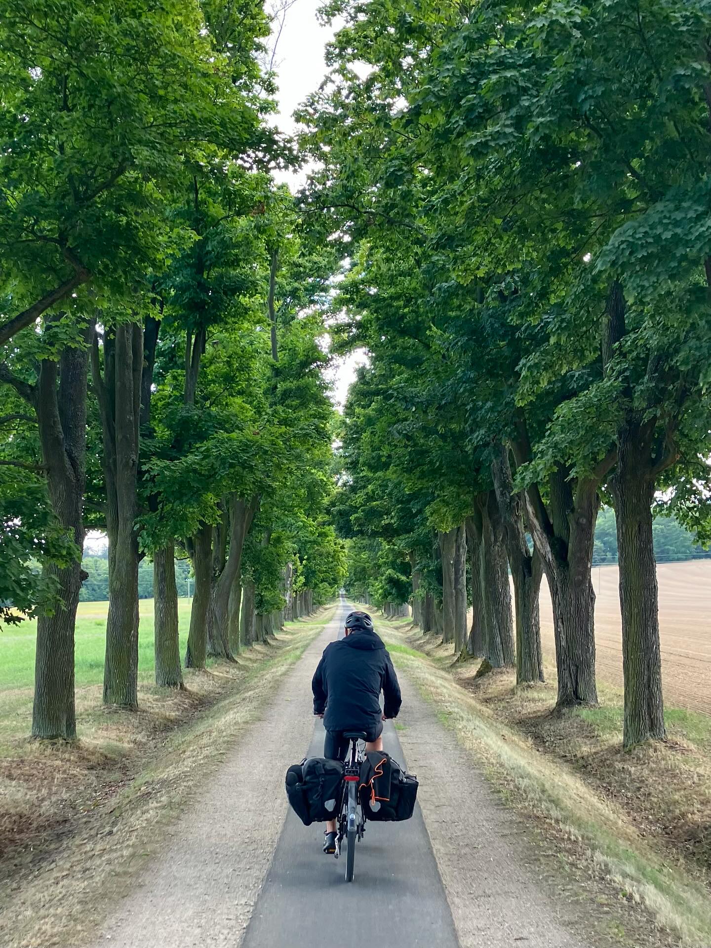 Dag 137 - 18083249023847987.jpg