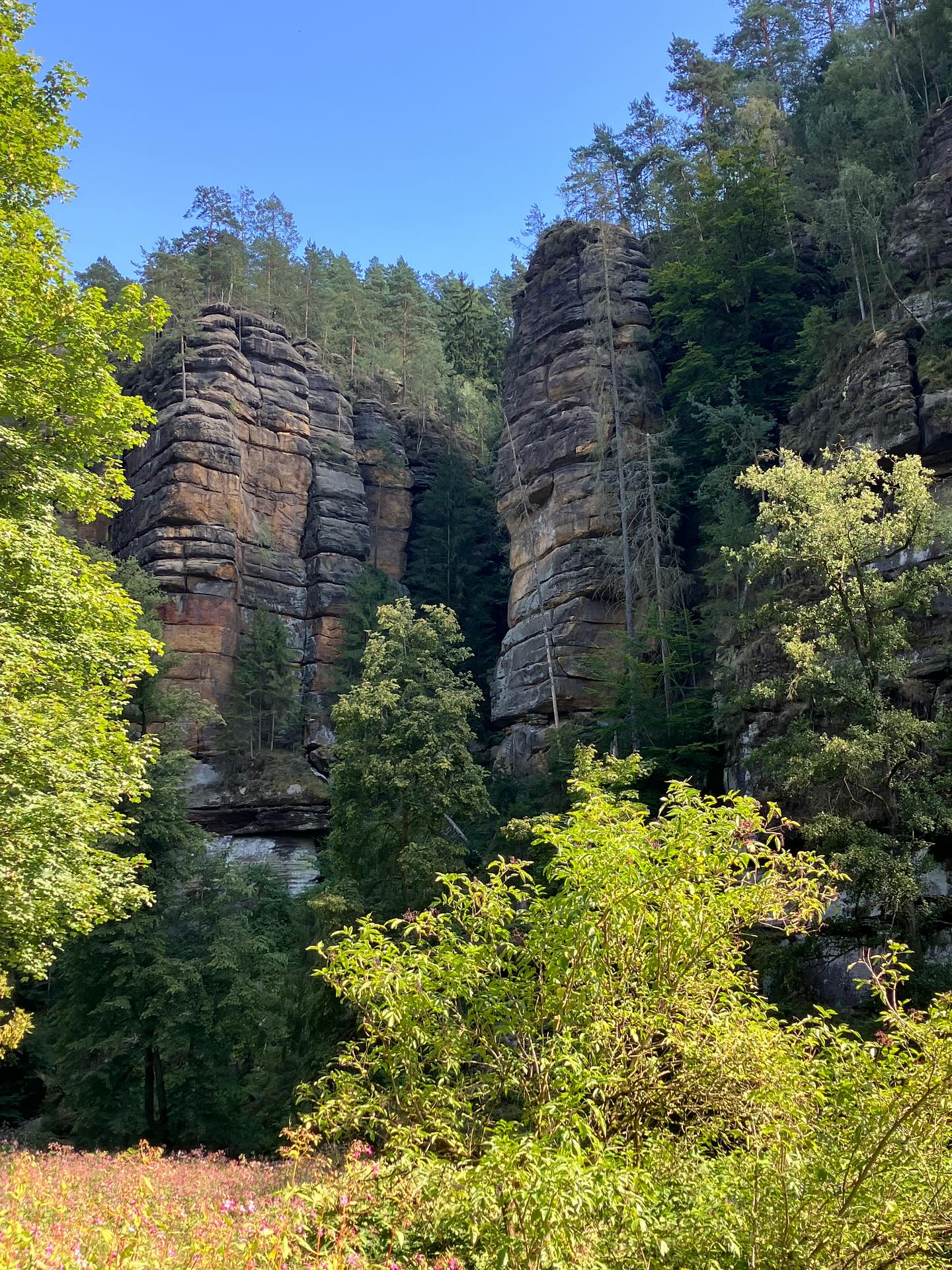 Dag 138 - 17893439019289094.jpg