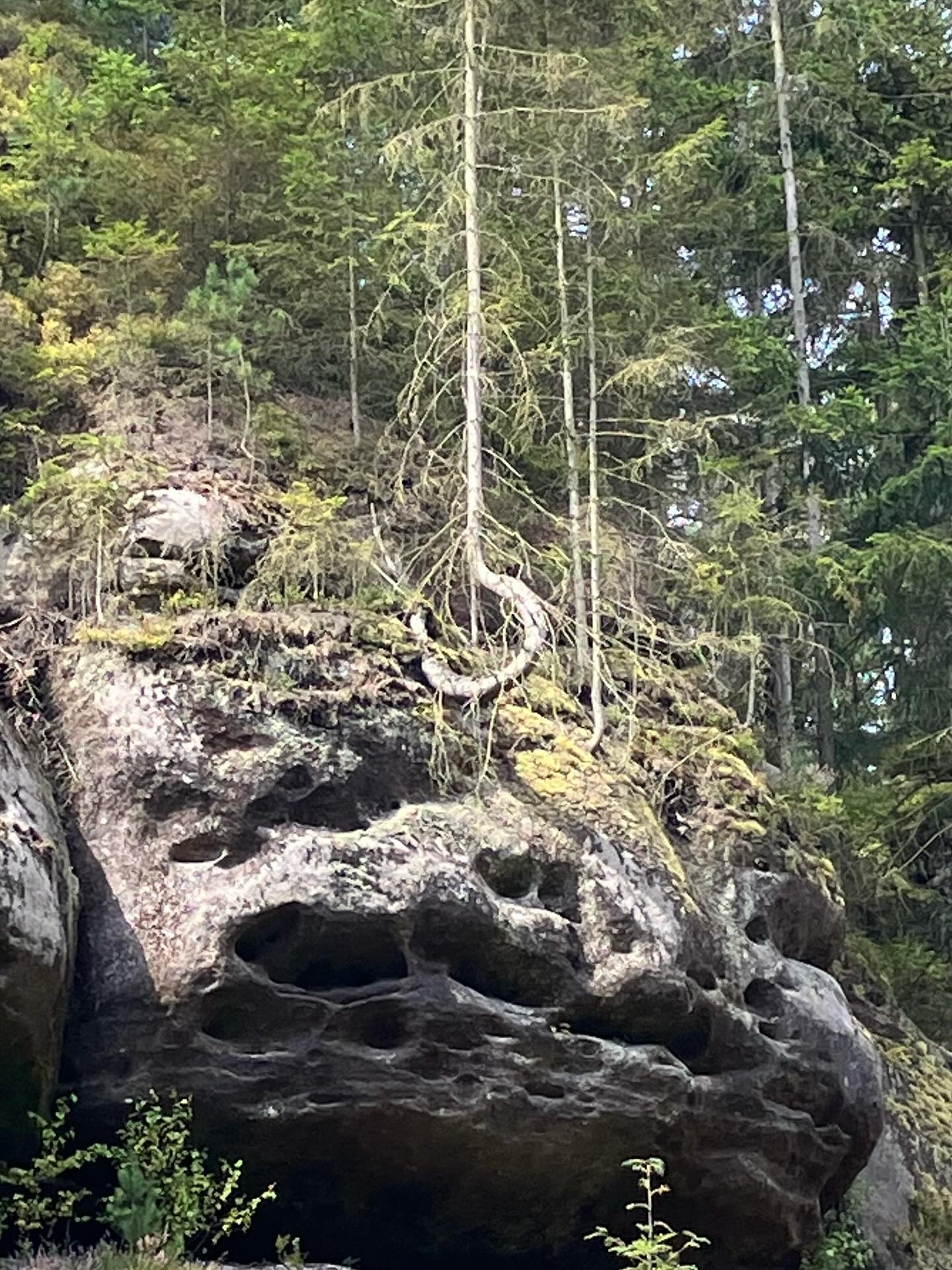 Dag 138 - 18084606694883327.jpg