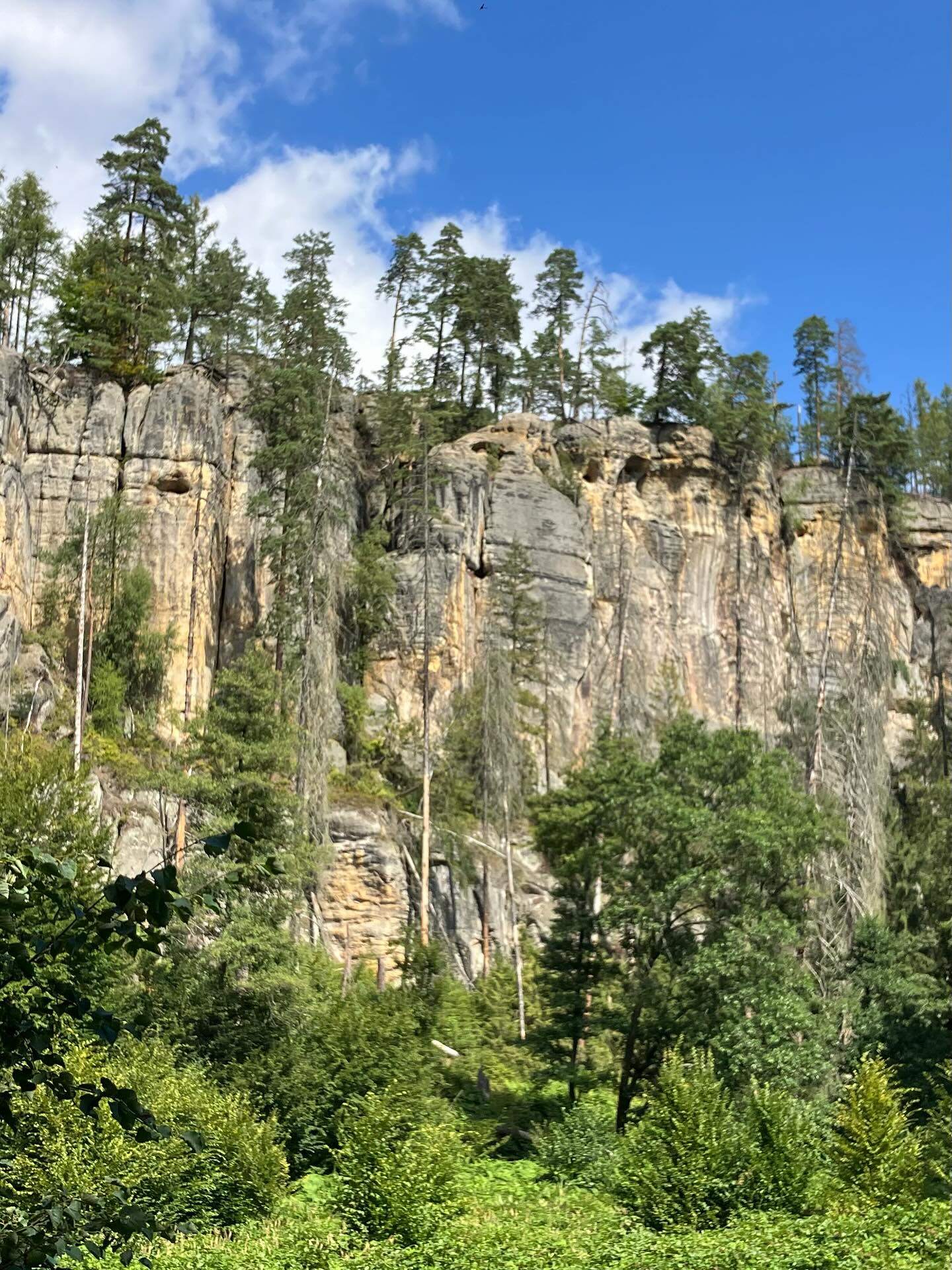 Dag 138 - 18281651650275658.jpg