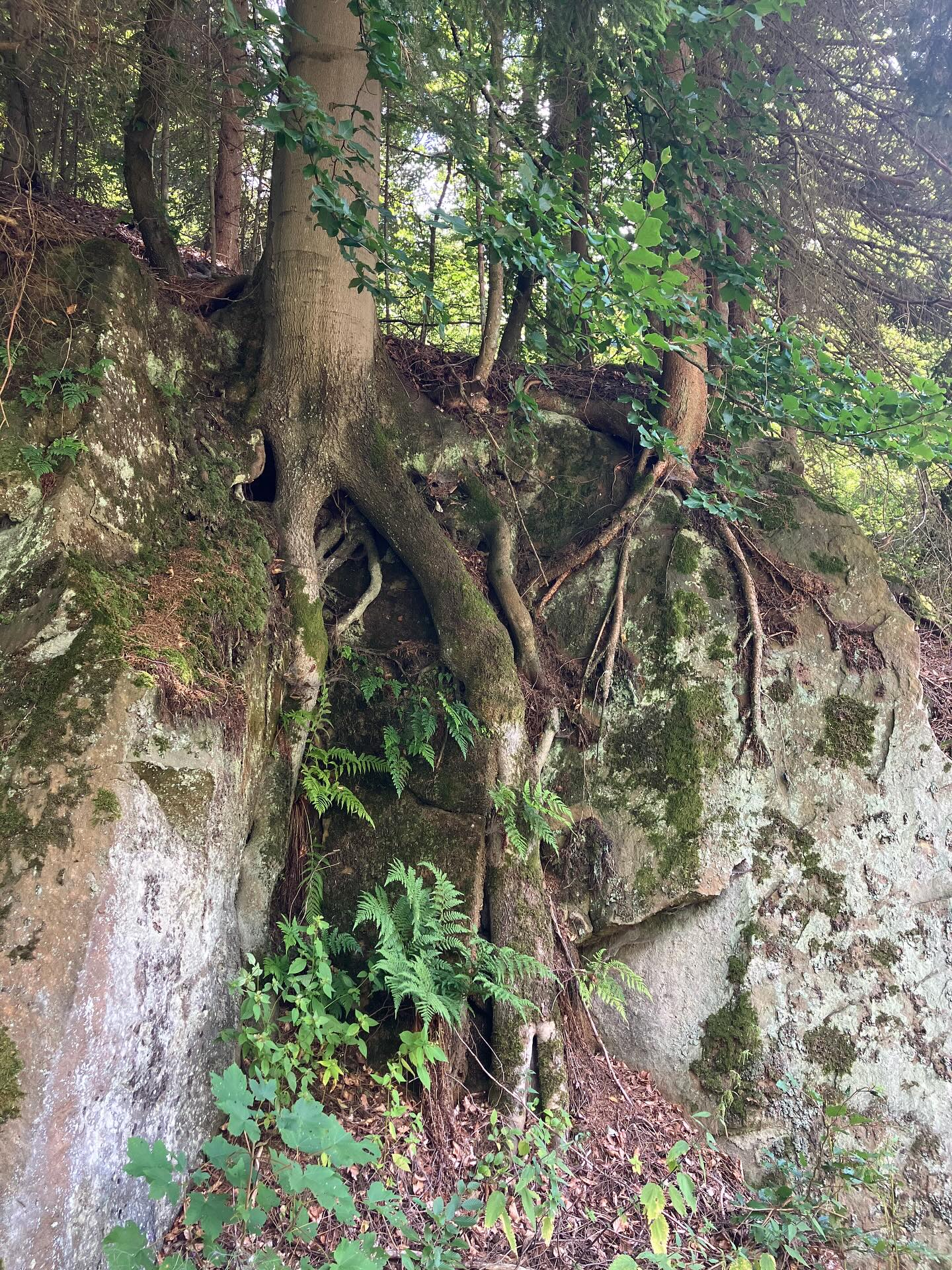 Dag 140 - 17855427723506921.jpg