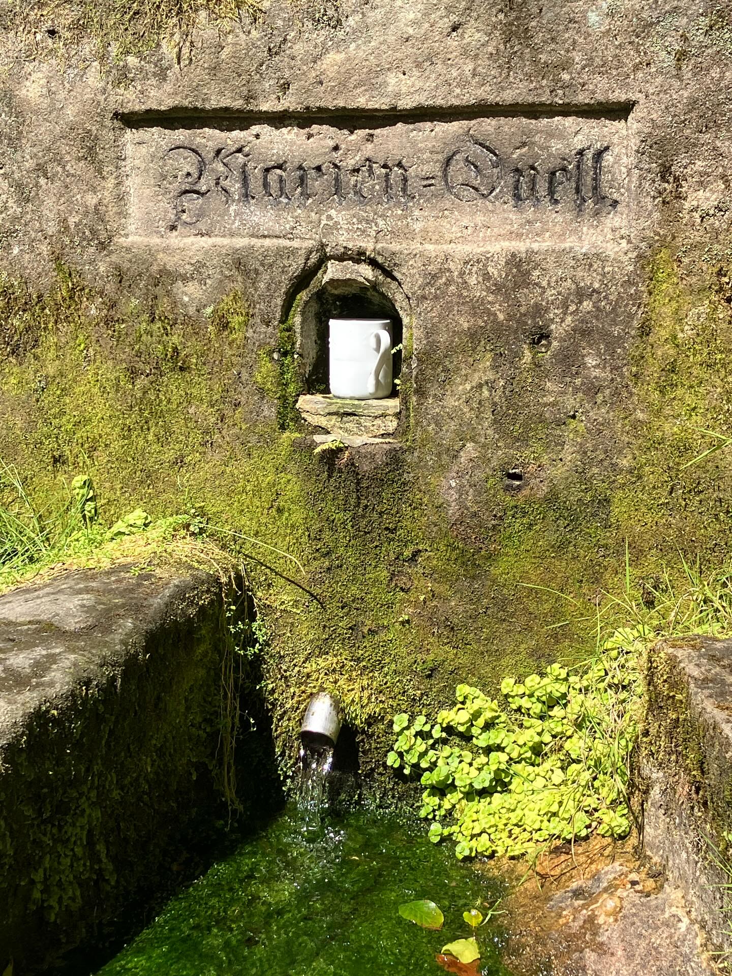 Dag 140 - 17870263209424631.jpg