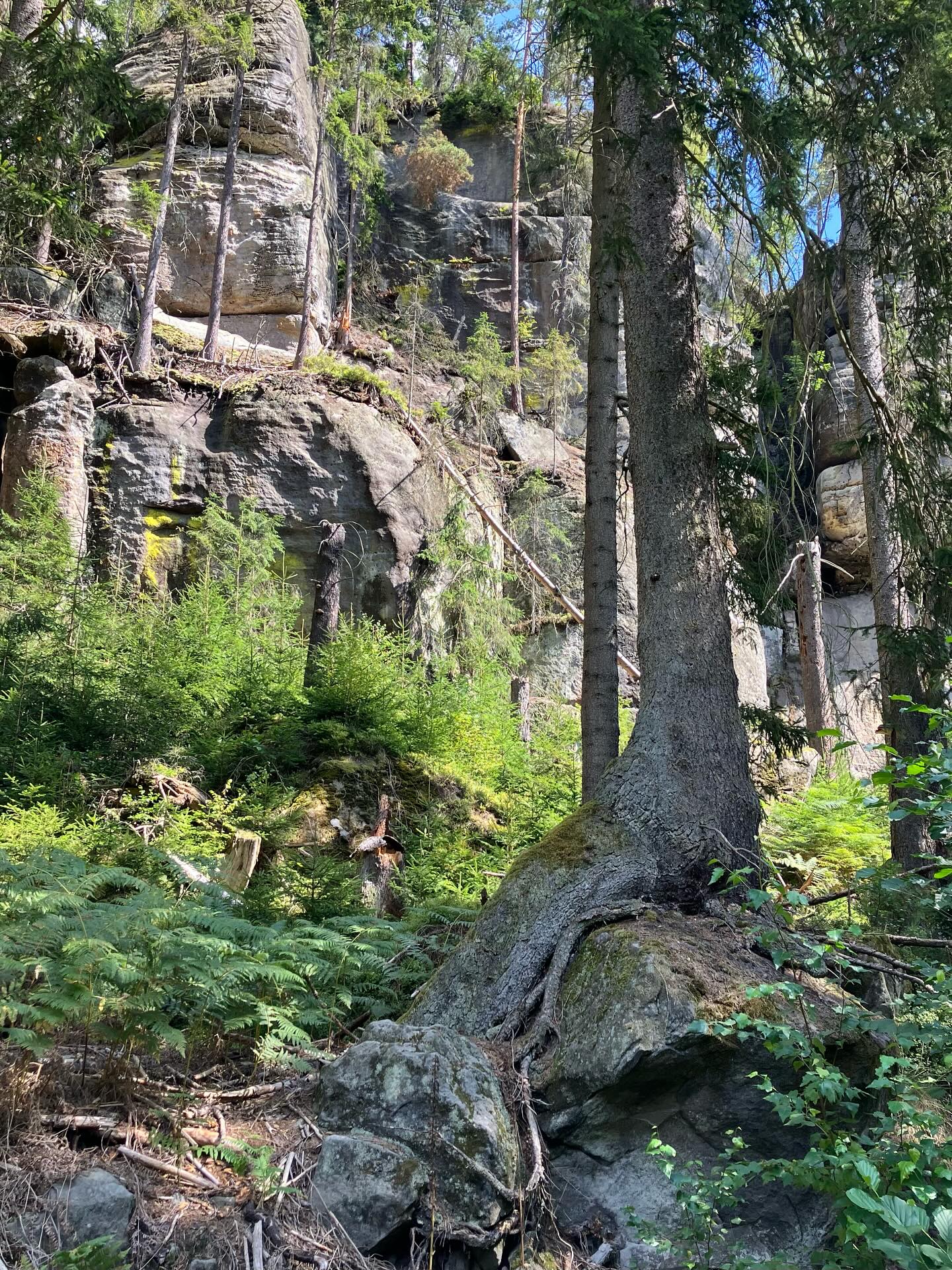 Dag 140 - 18031609148505794.jpg