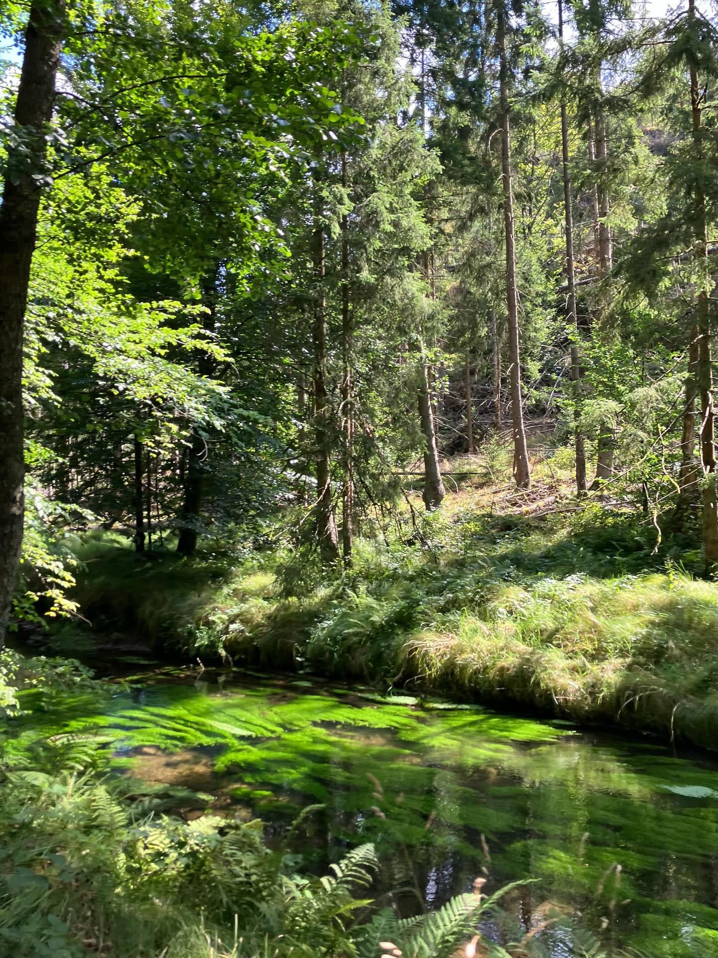 Dag 140 - 18078300554483848.jpg