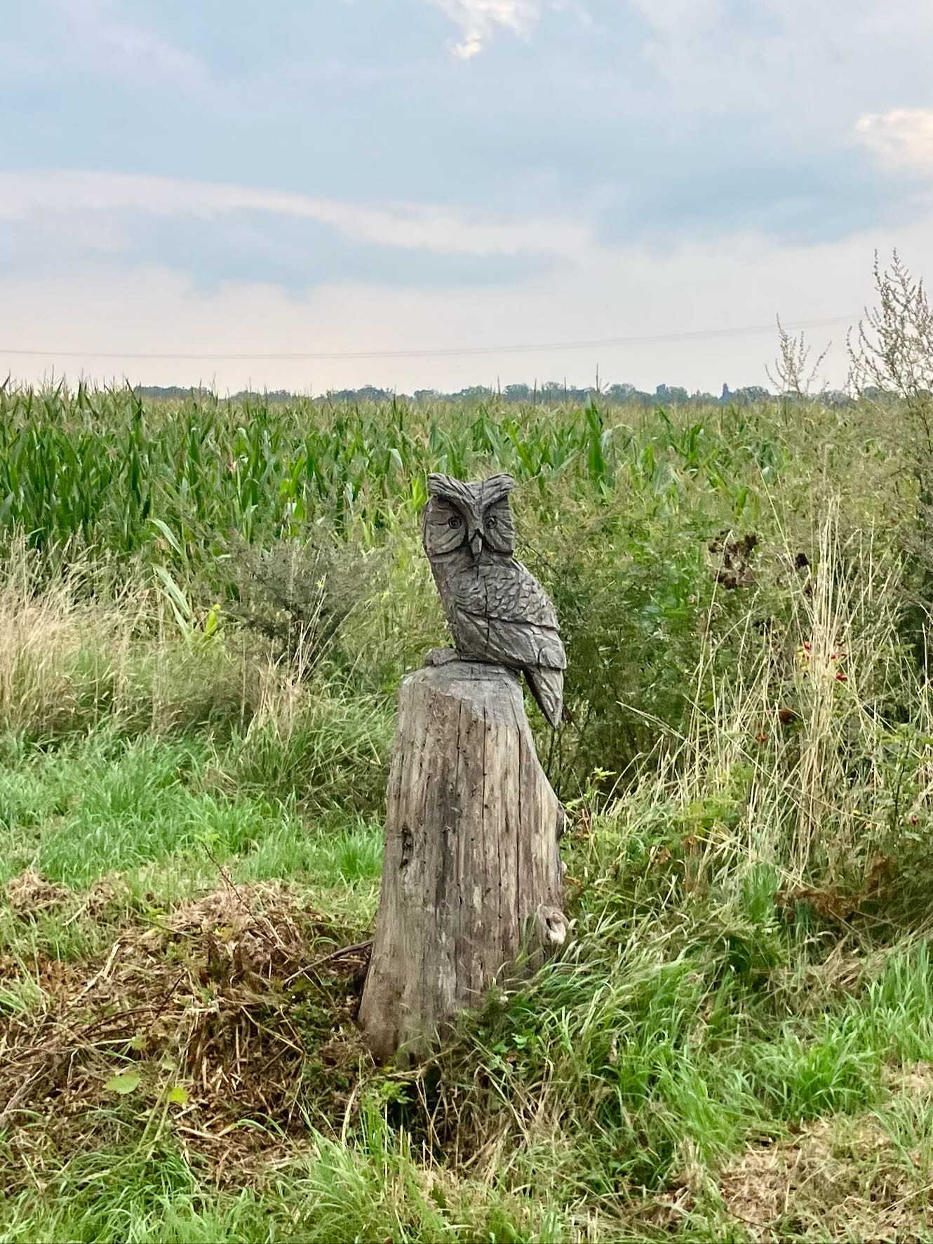 Dag 141 - 17865932232379206.jpg