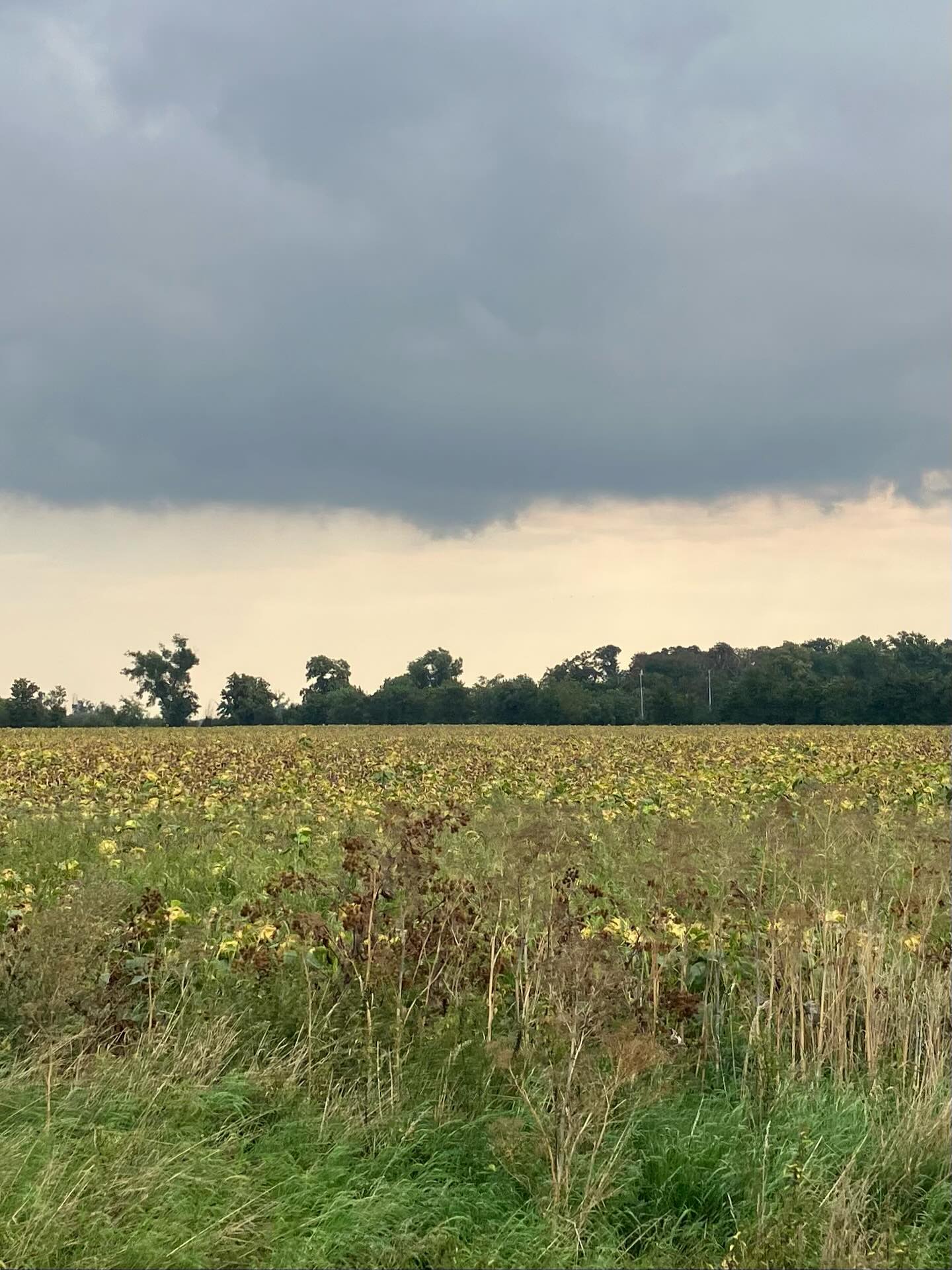 Dag 141 - 18059651891595729.jpg