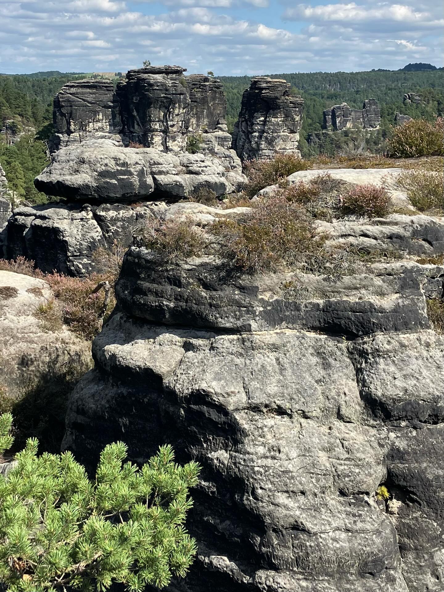 Dag 141 - 18071904953032410.jpg