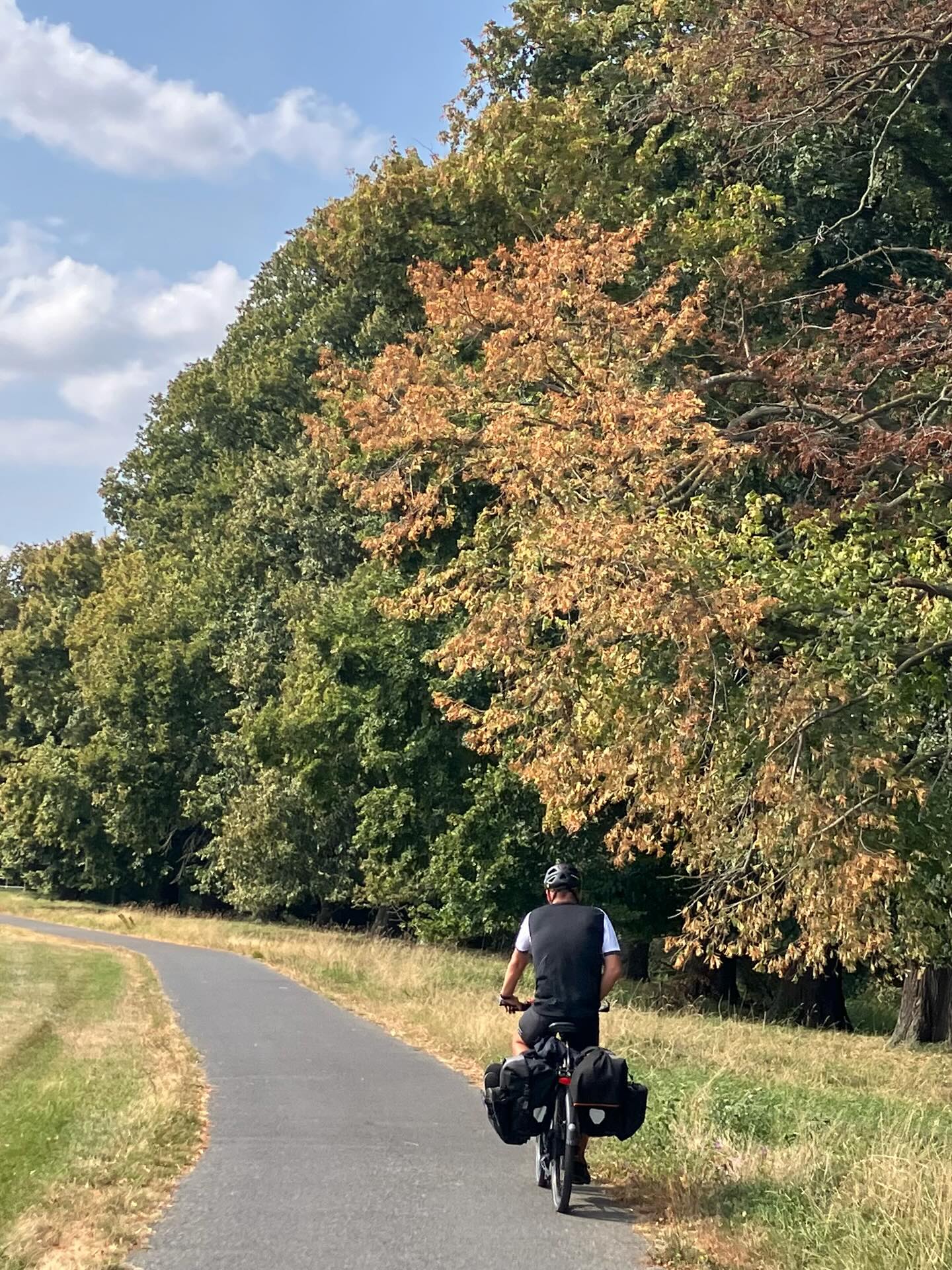 Dag 141 - 18089569369747868.jpg