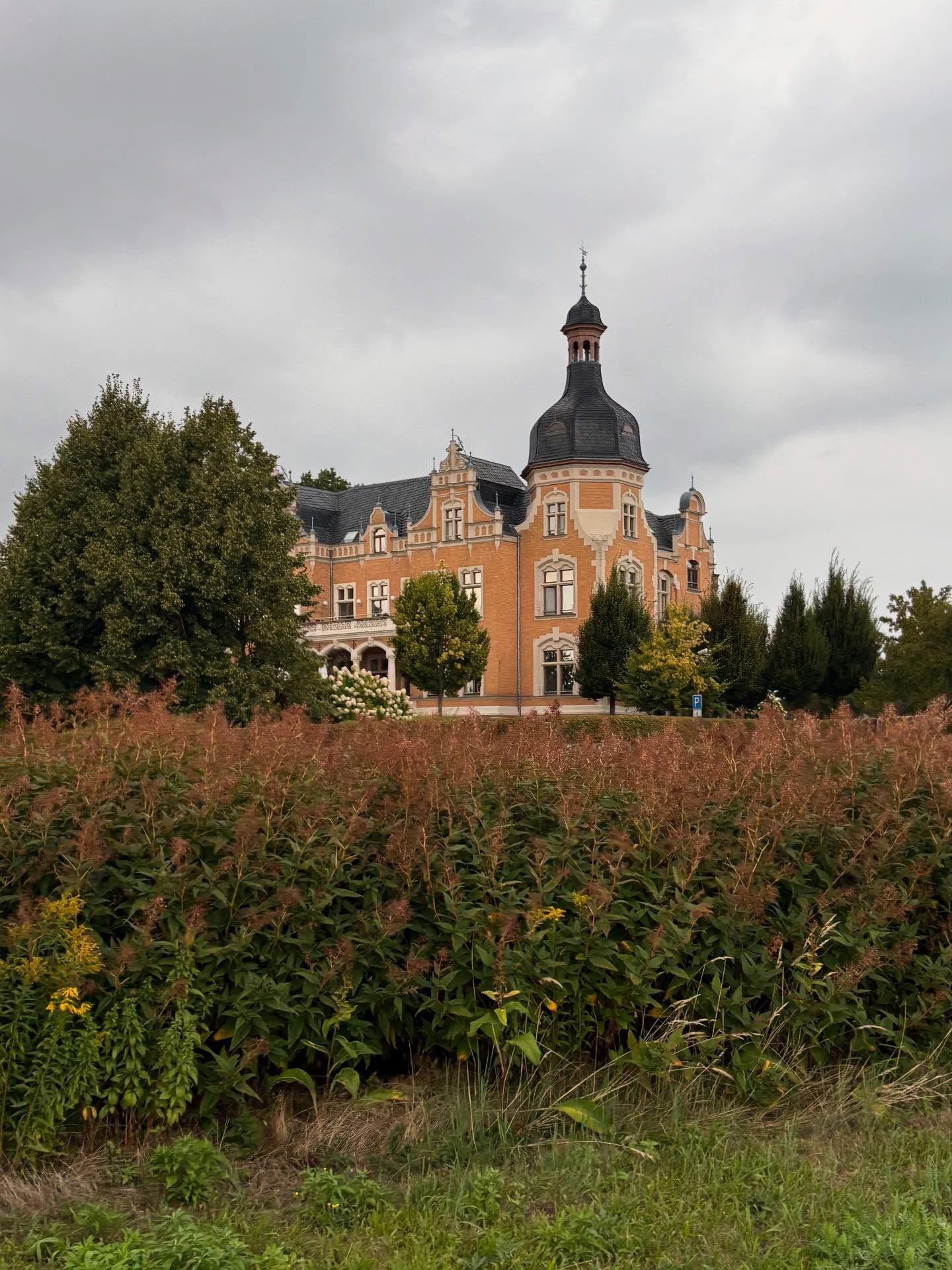 Dag 142 - 18056095031621009.jpg