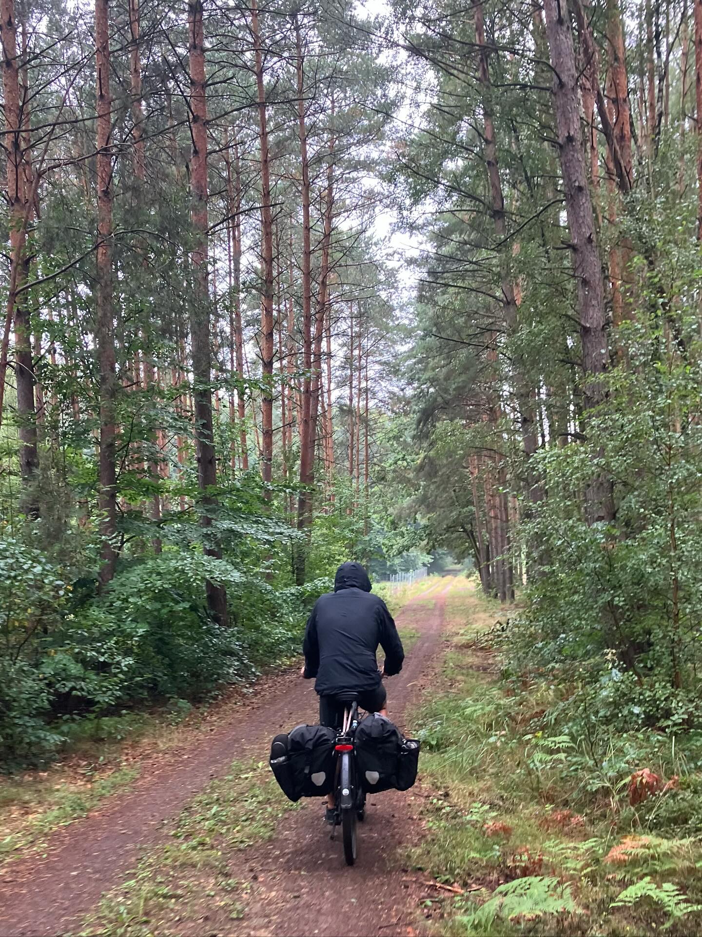 Dag 142 - 18118040350499856.jpg