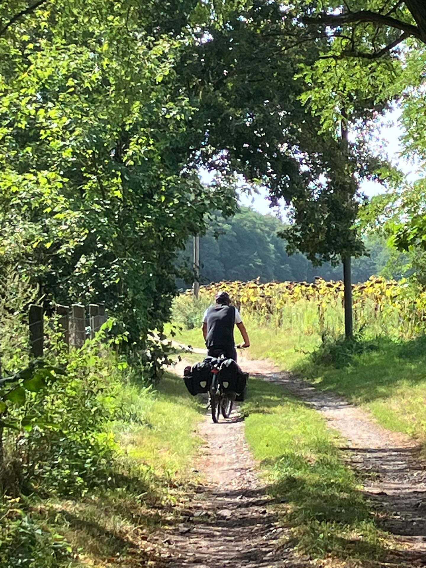 Dag 142 - 18135730723433200.jpg