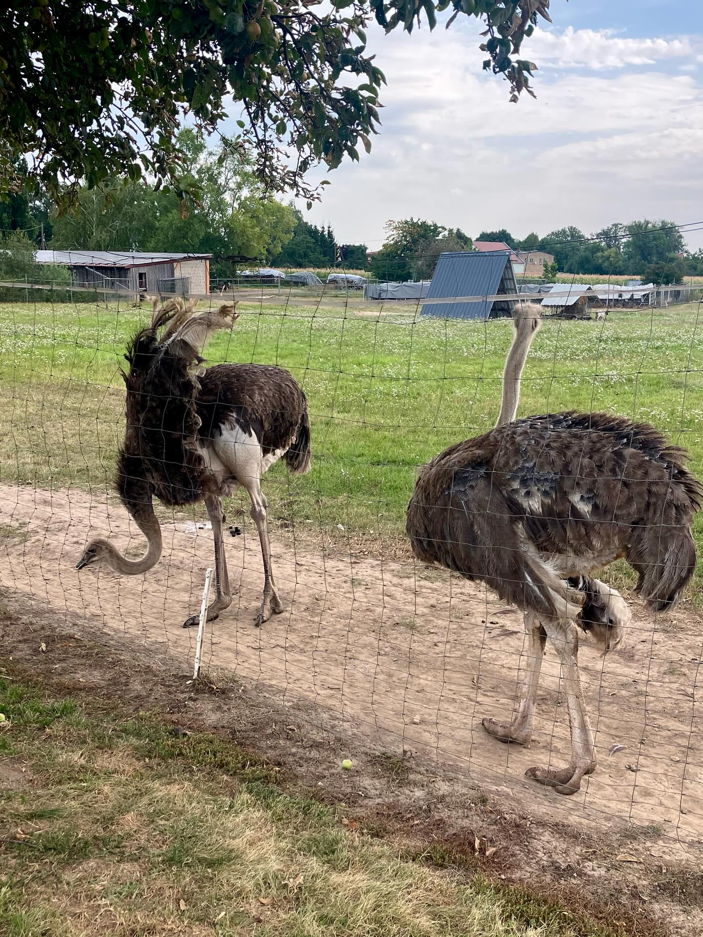 Dag 143 - 18095581666573909.jpg