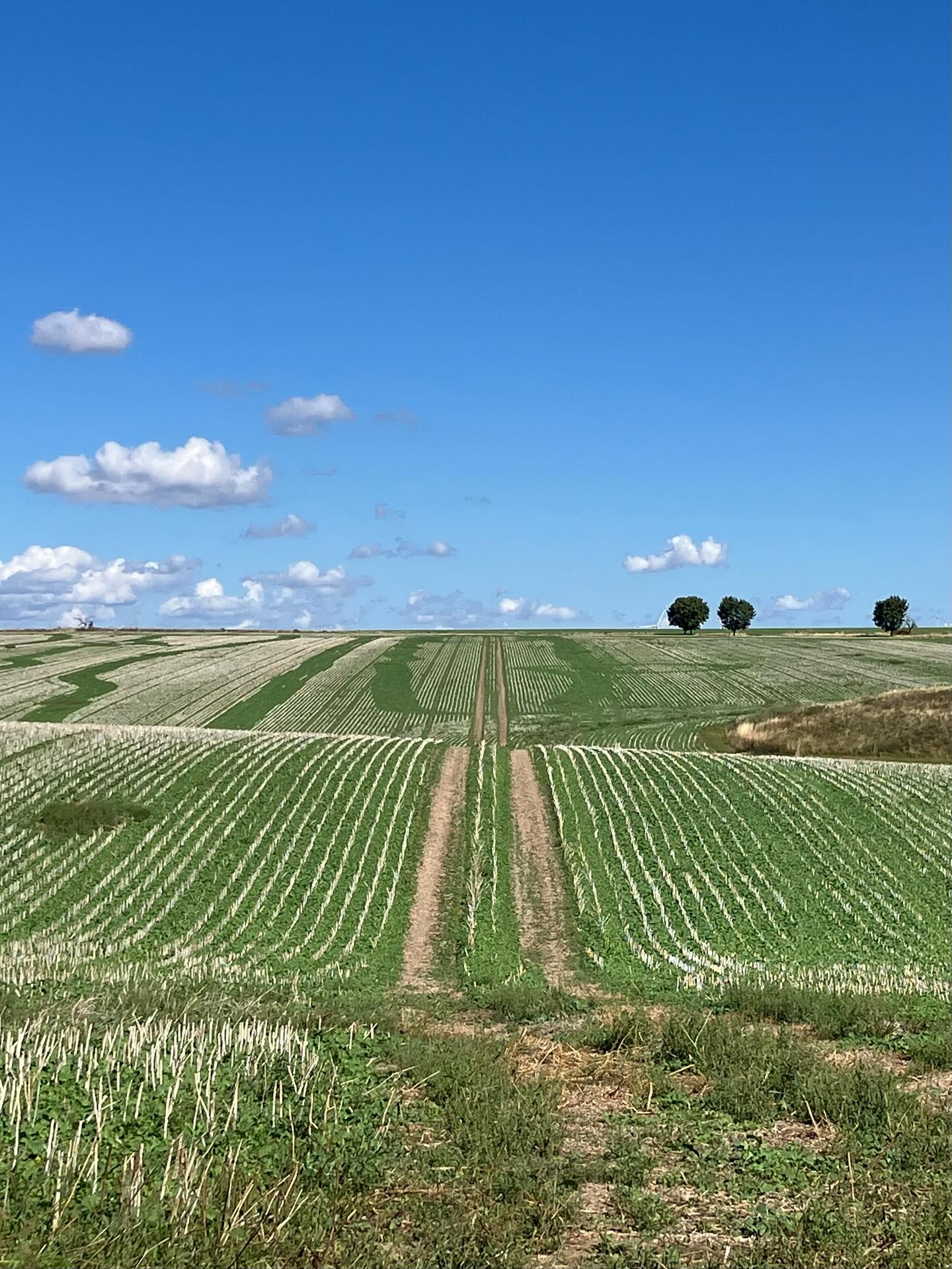 Dag 144 - 18064575317204352.jpg