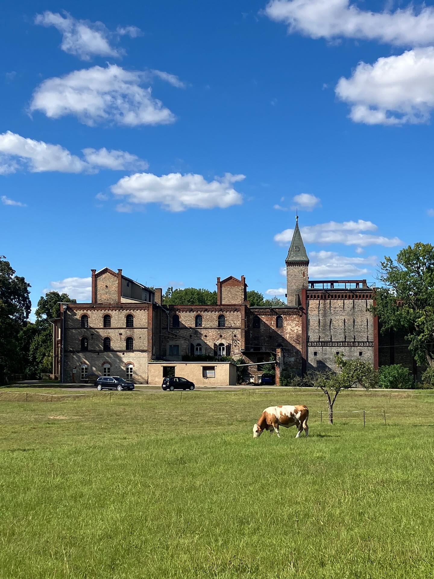 Dag 144 - 18097266208616980.jpg