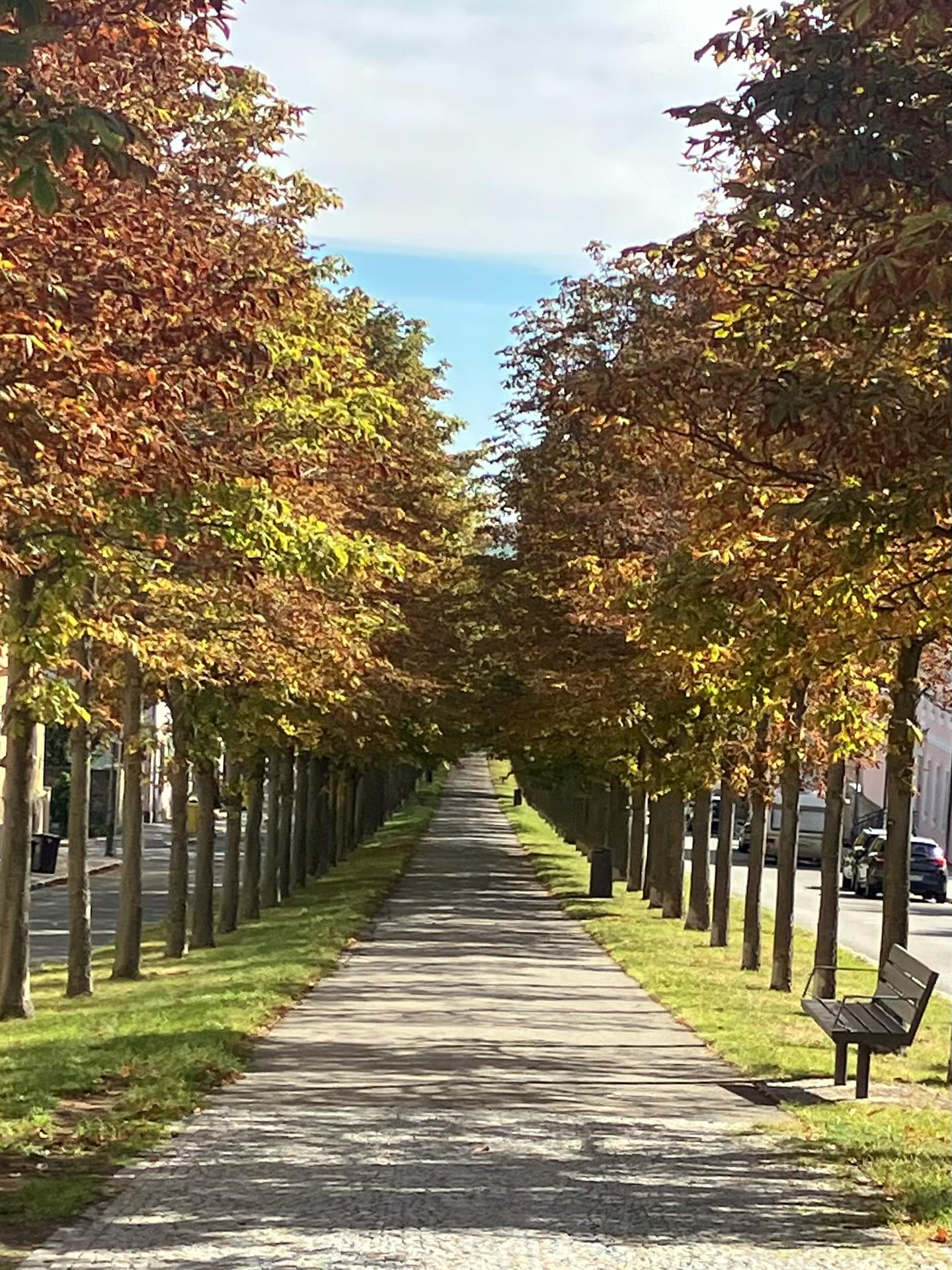 Dag 145 - 17892056124317271.jpg