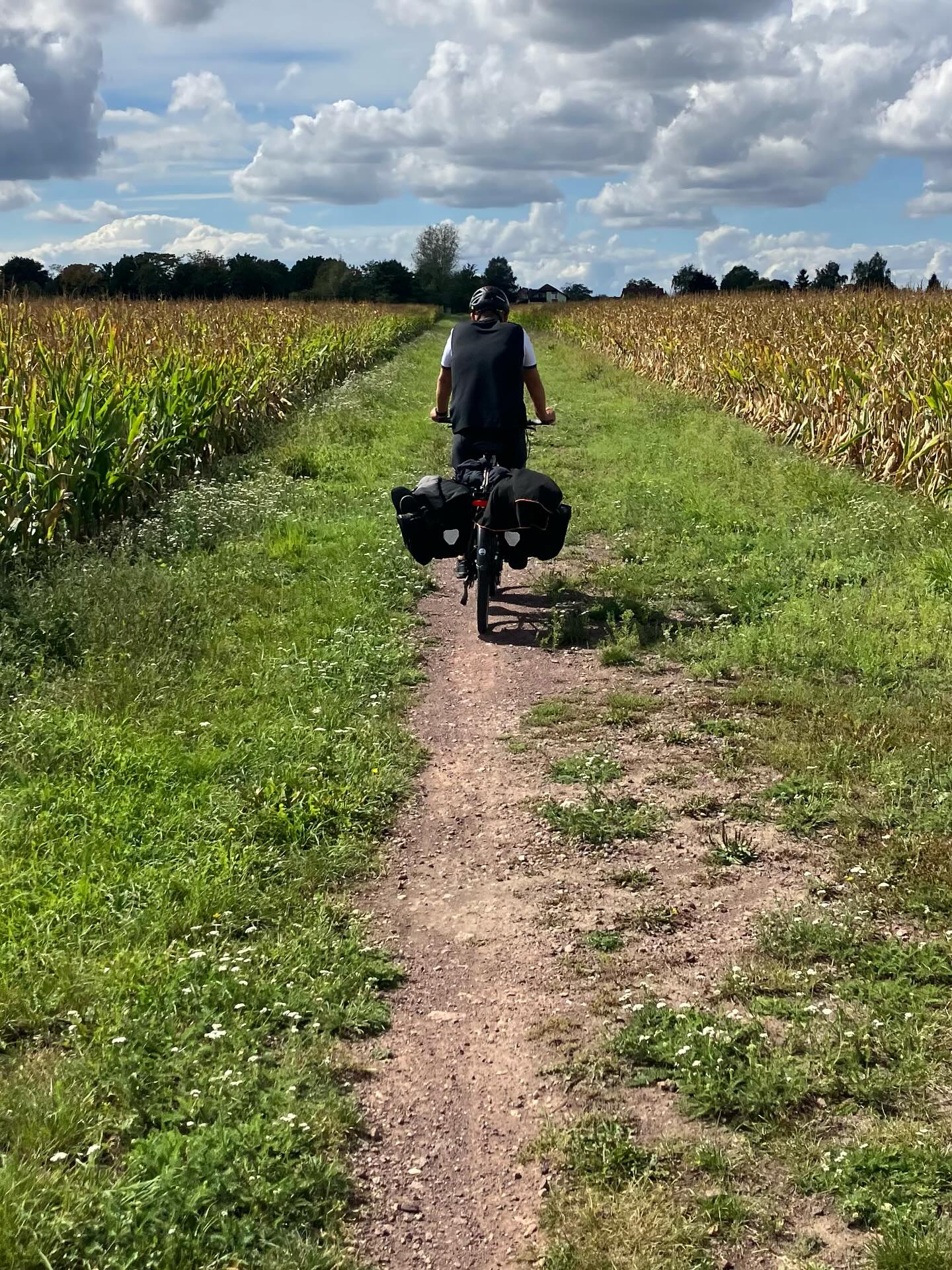 Dag 145 - 18071627816277997.jpg