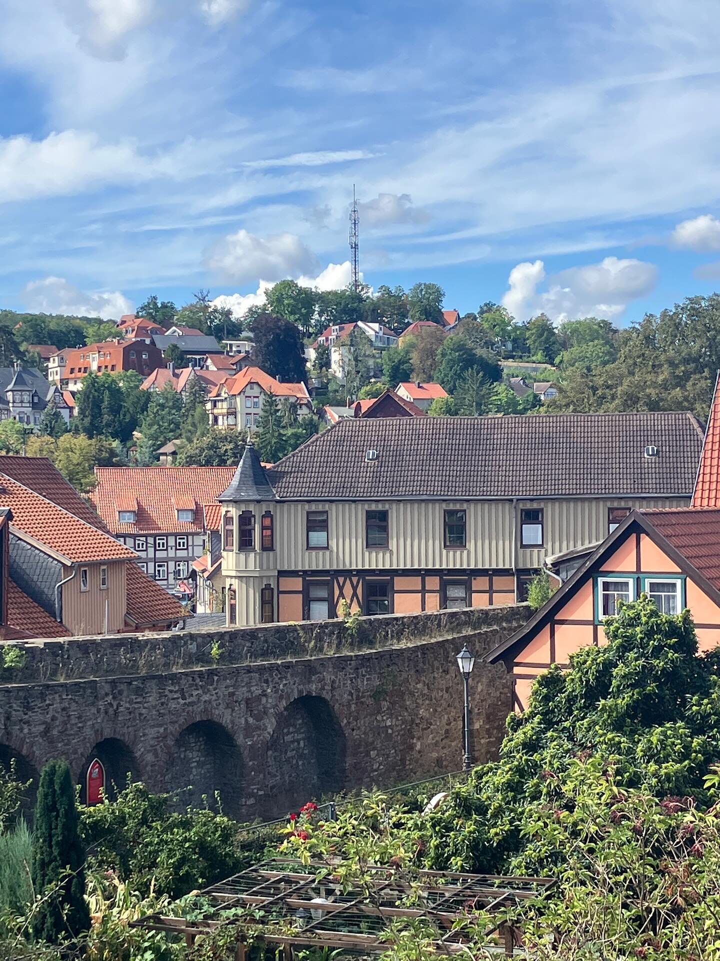 Dag 146 - 17904186816249900.jpg