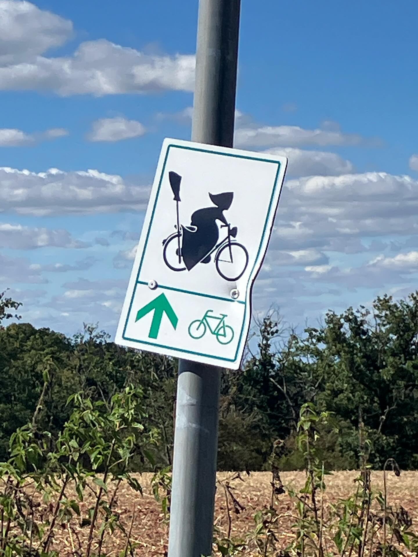 Dag 146 - 18060200753457945.jpg