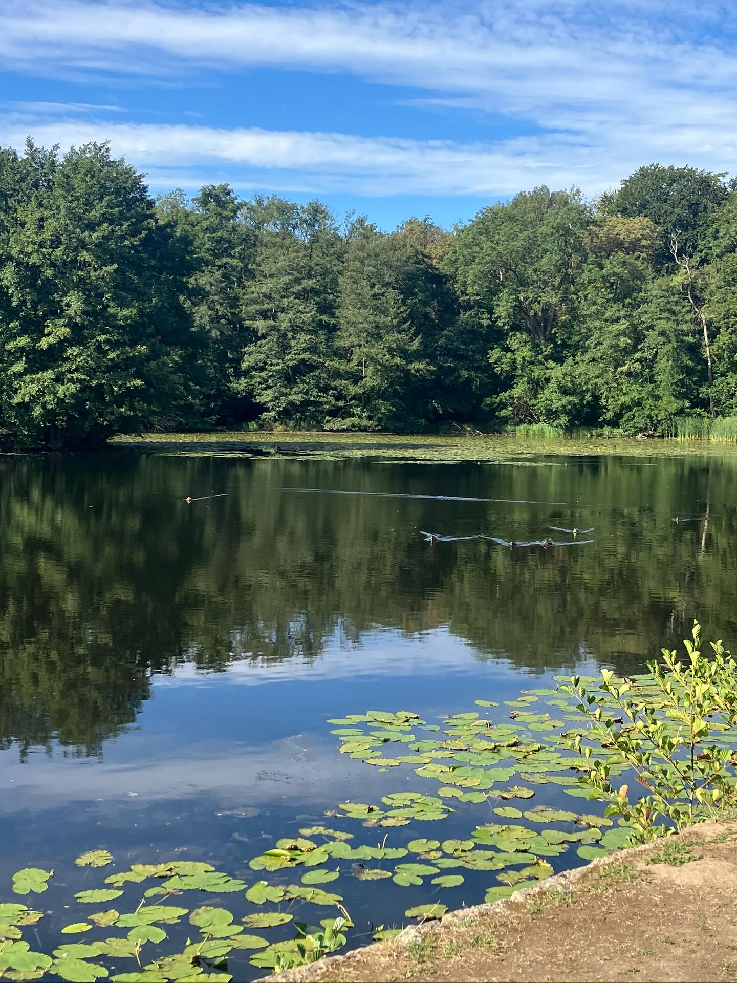 Dag 147 - 17866794894377243.jpg