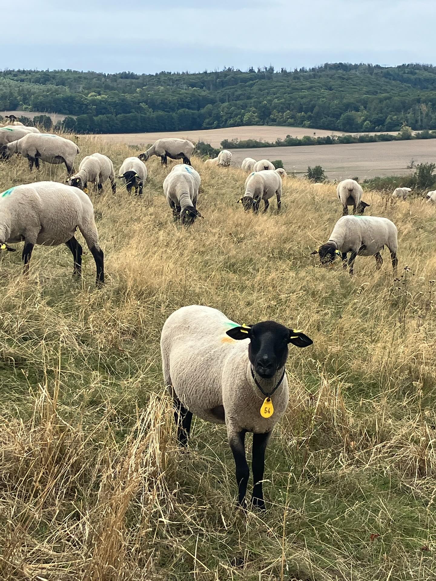 Dag 147 - 17898122433143328.jpg