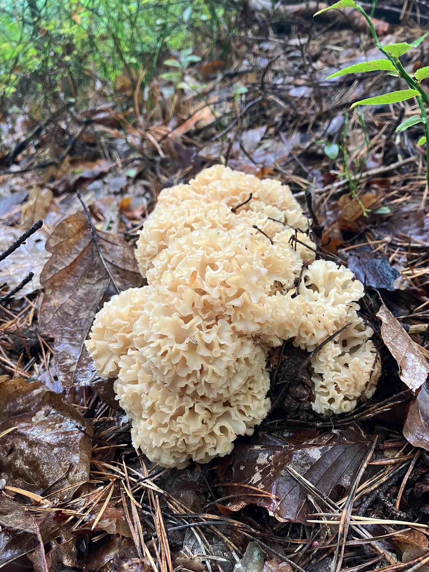 Dag 148 - 17891745633321809.jpg