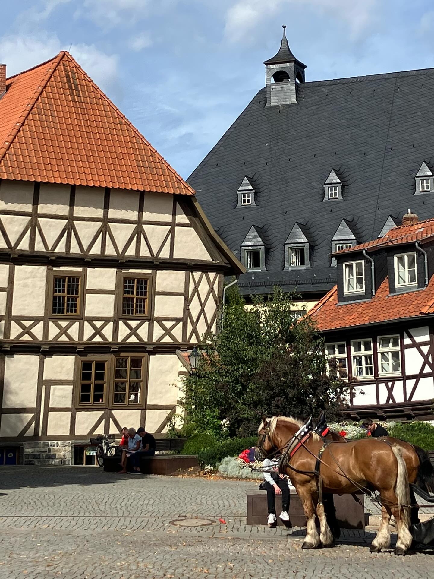 Dag 148 - 18160581994389374.jpg