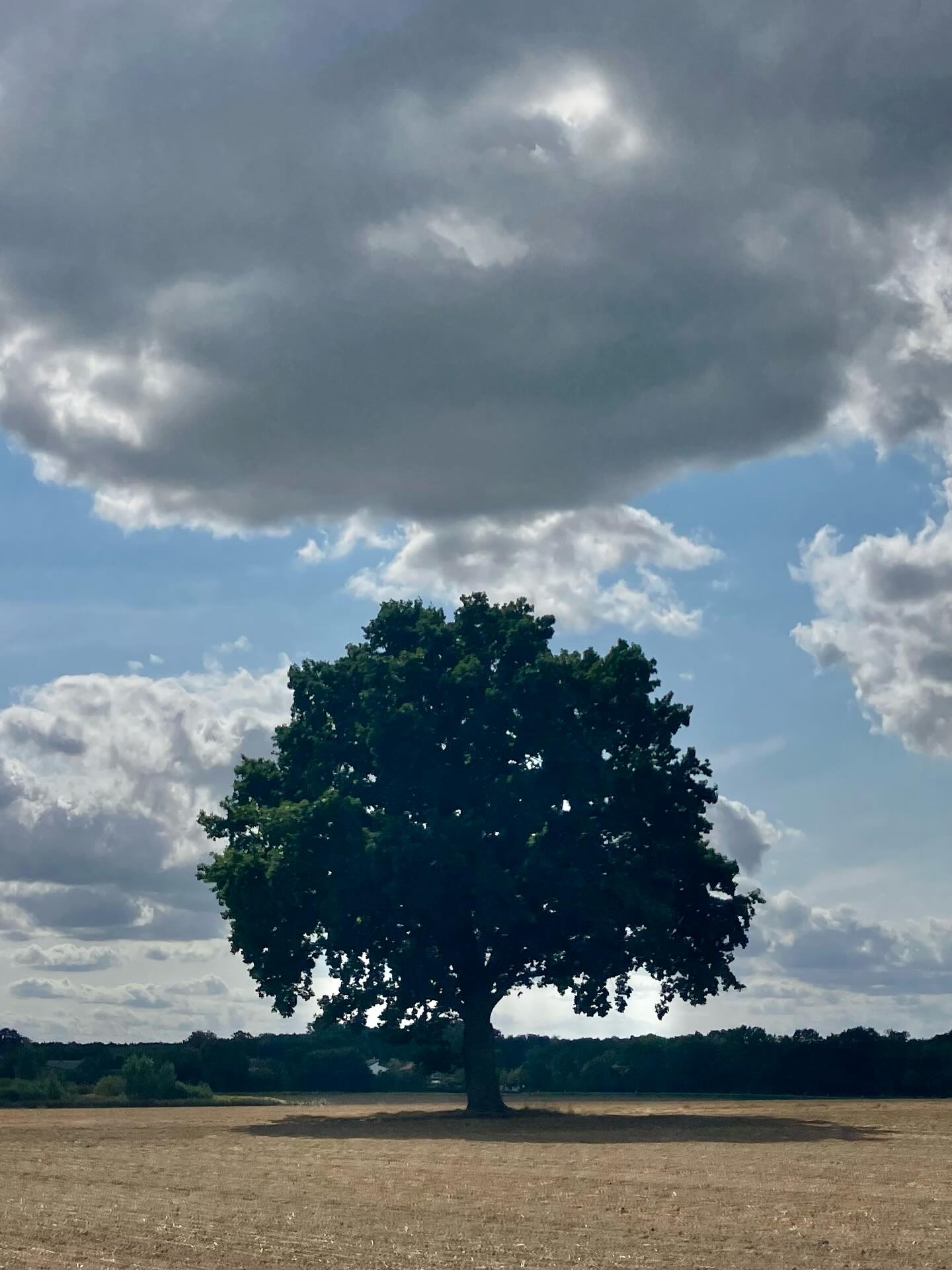 Dag 150 - 17921744412111248.jpg