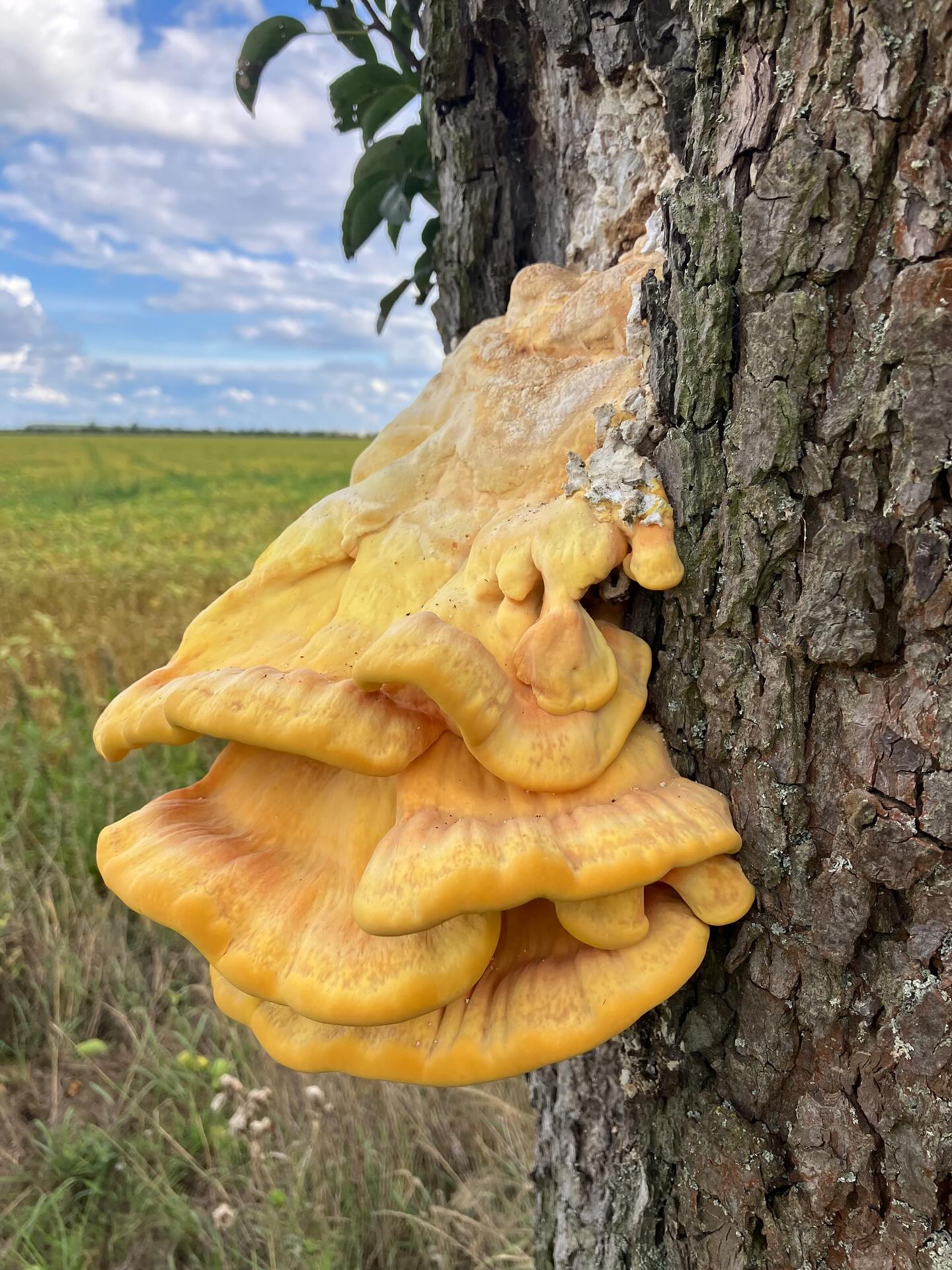 Dag 150 - 18053580002532761.jpg