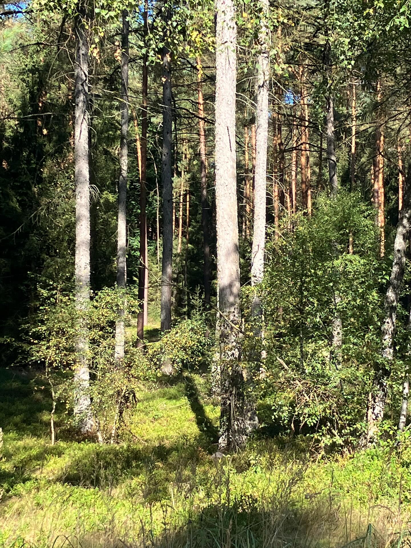 Dag 150 - 18083450896727936.jpg