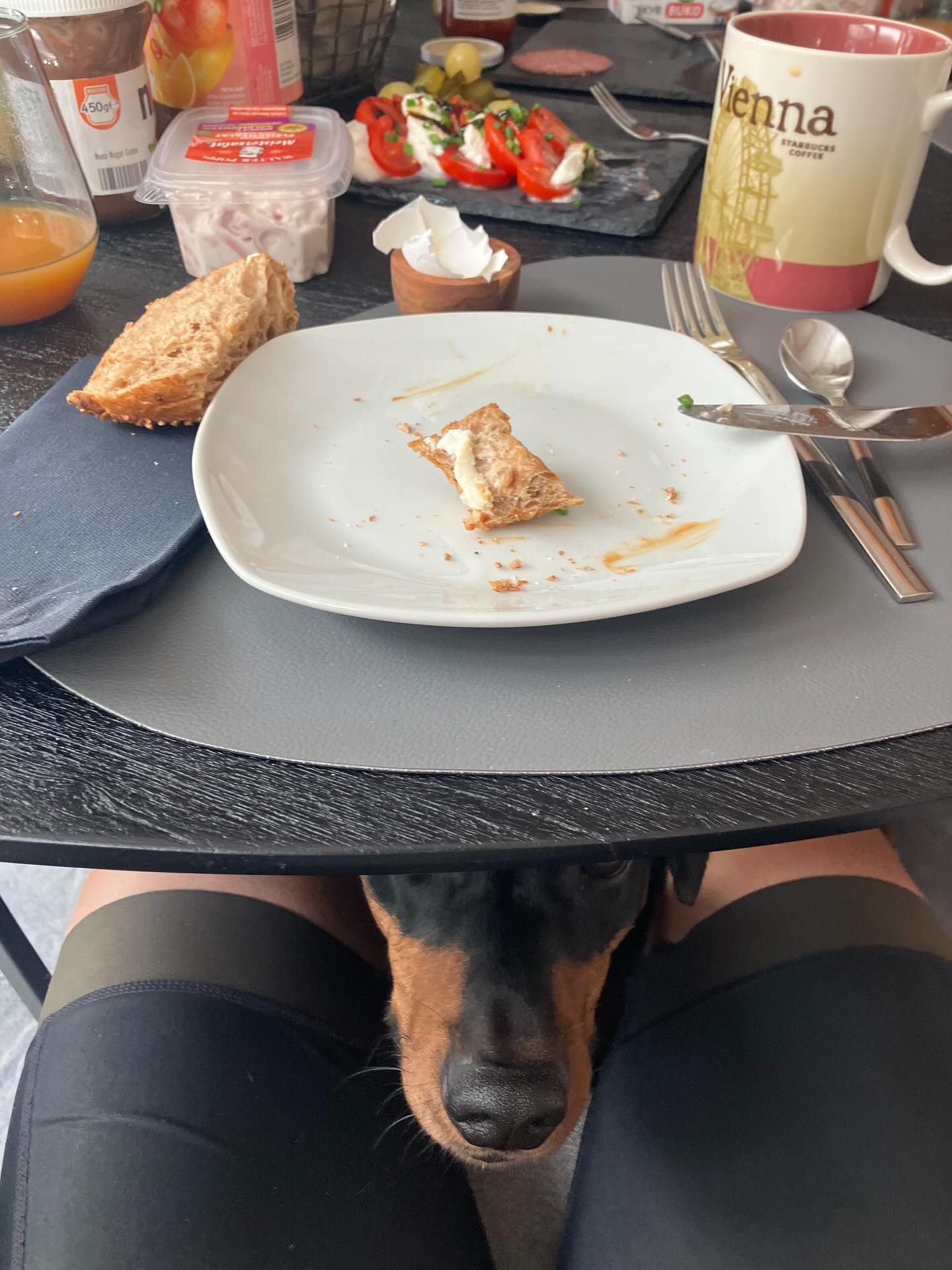 Dag 152 - 17873584563413358.jpg